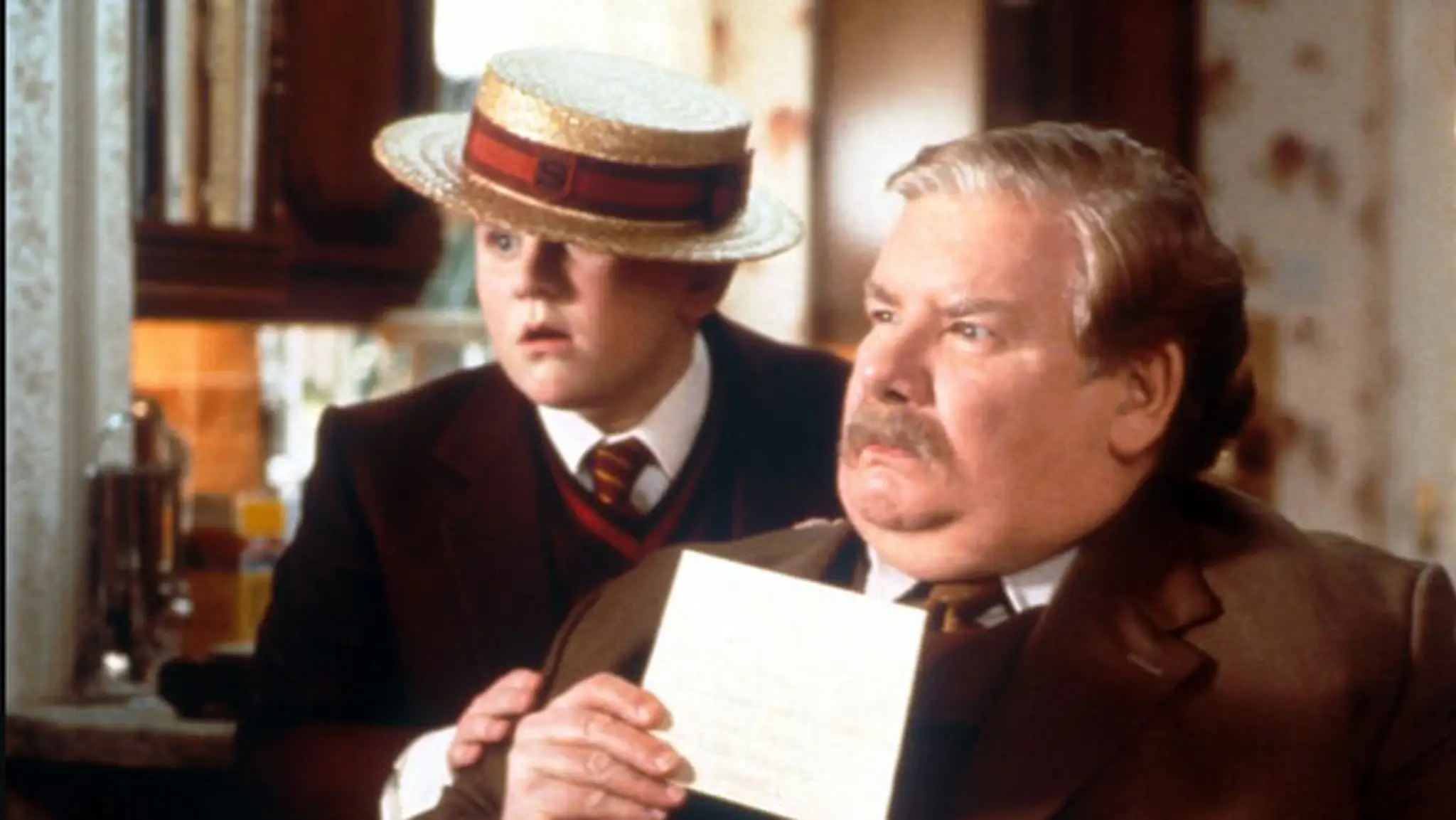 Harry Potter, Dudley