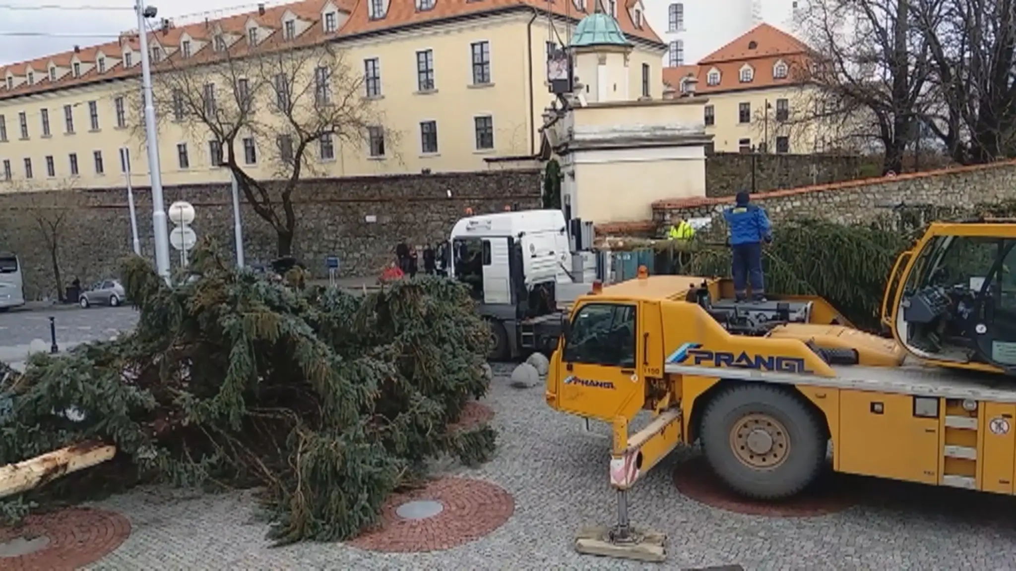Výmena stromčekov pred parlamentom.
