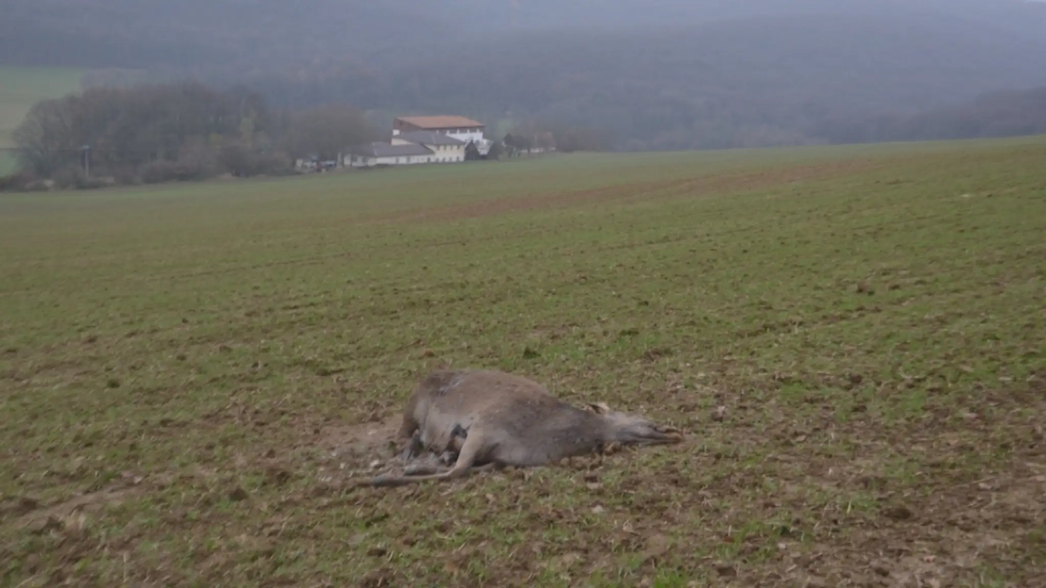 Pánska móda jeseň-zima
