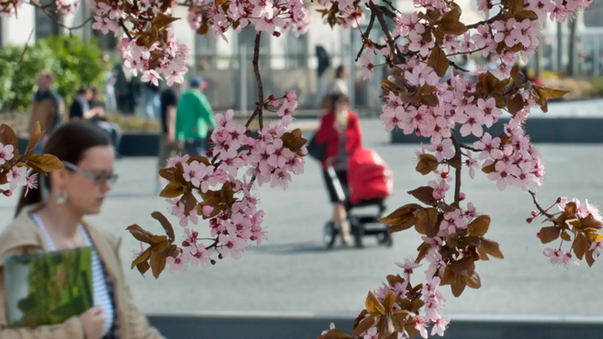 Jarné počasie