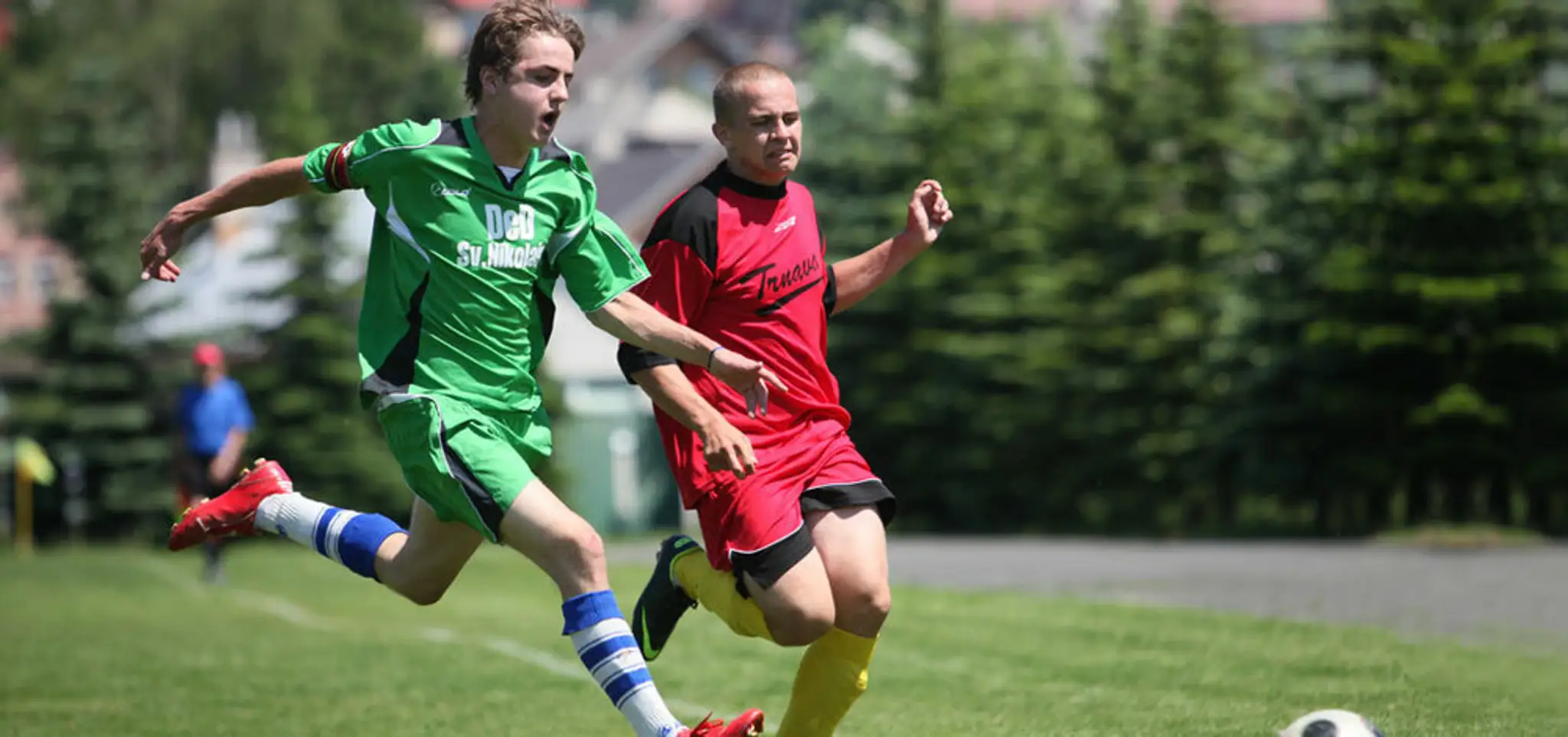 Appelia cup.jpg