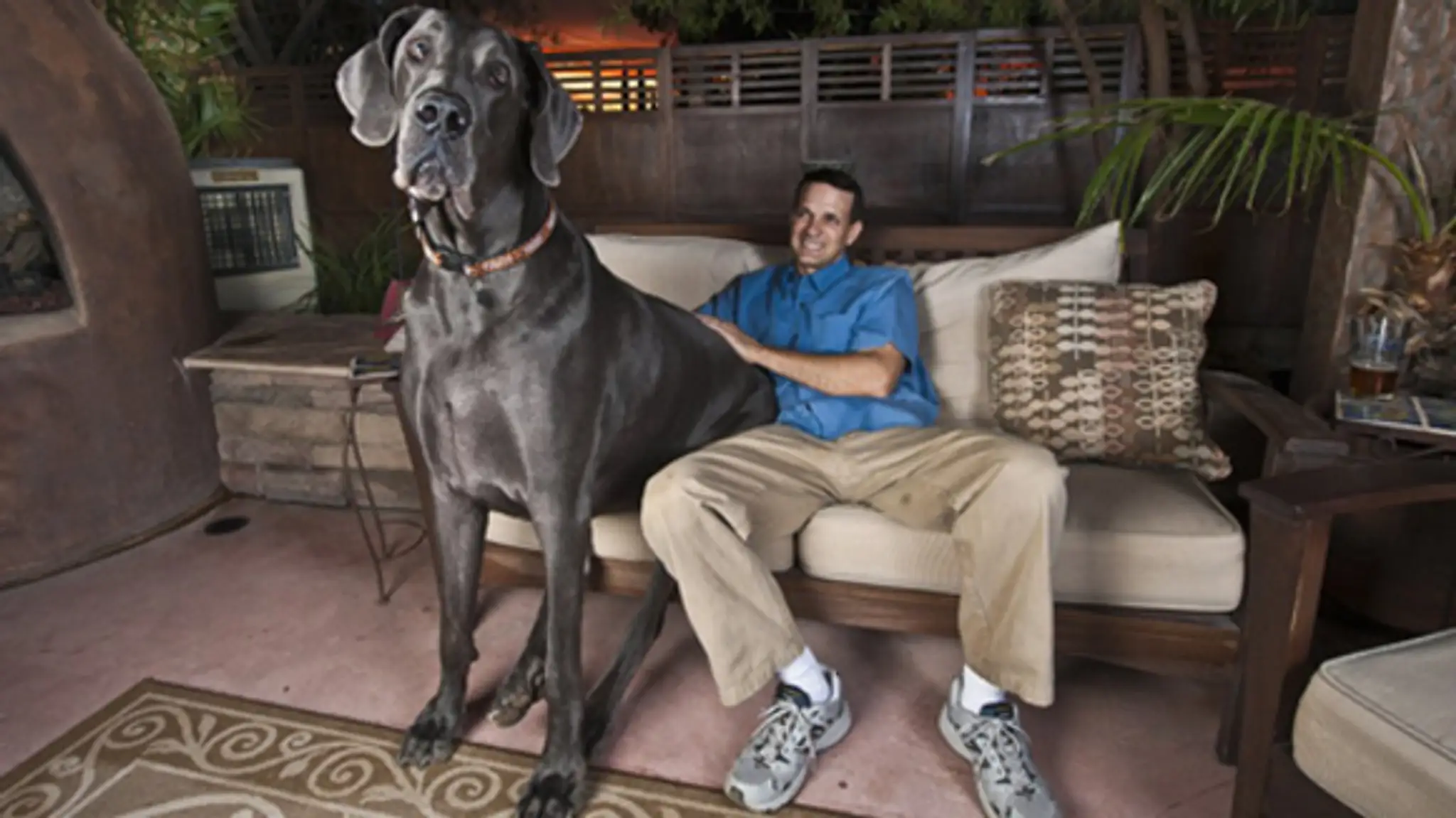 Doga George