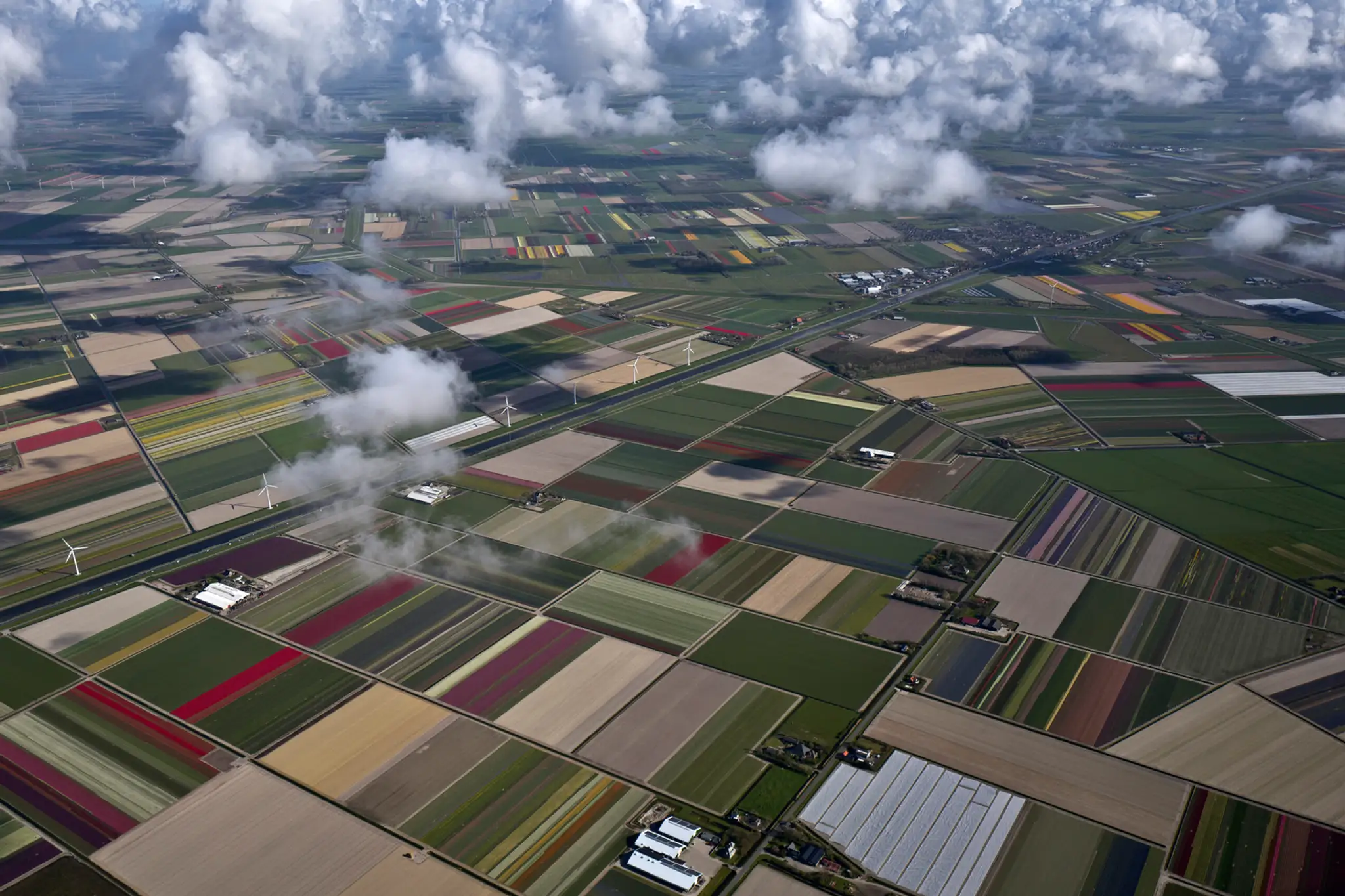 Netherlands_Daily_Life366417347162.jpg