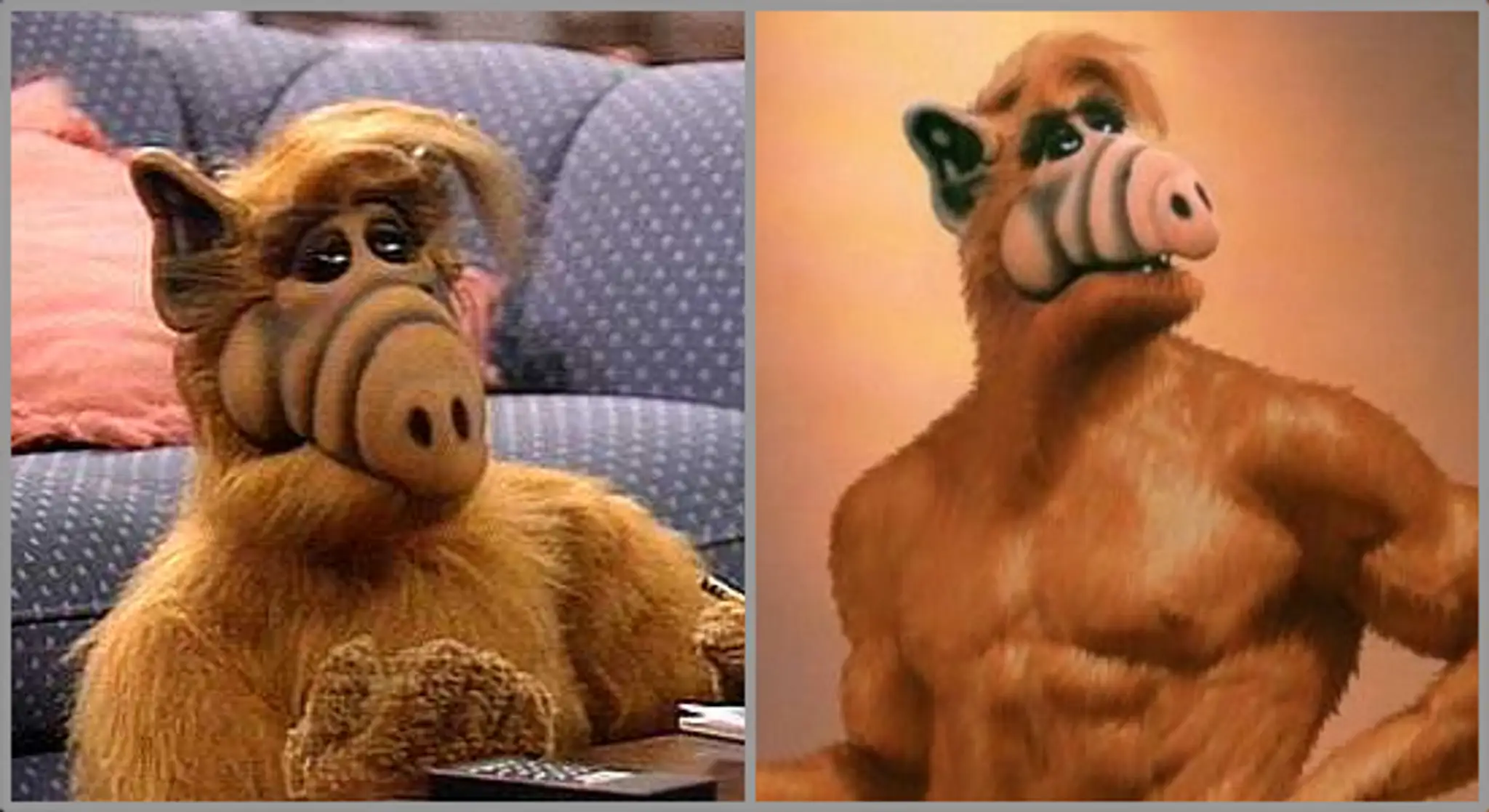 Alf