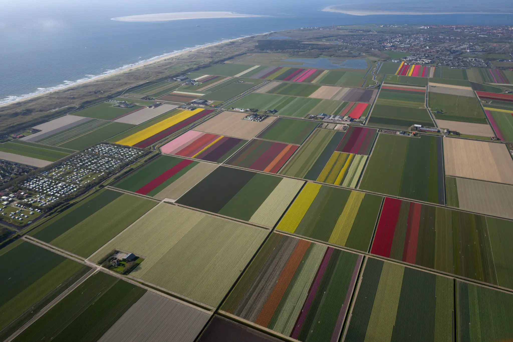 Netherlands_Daily_Life366414347154.jpg