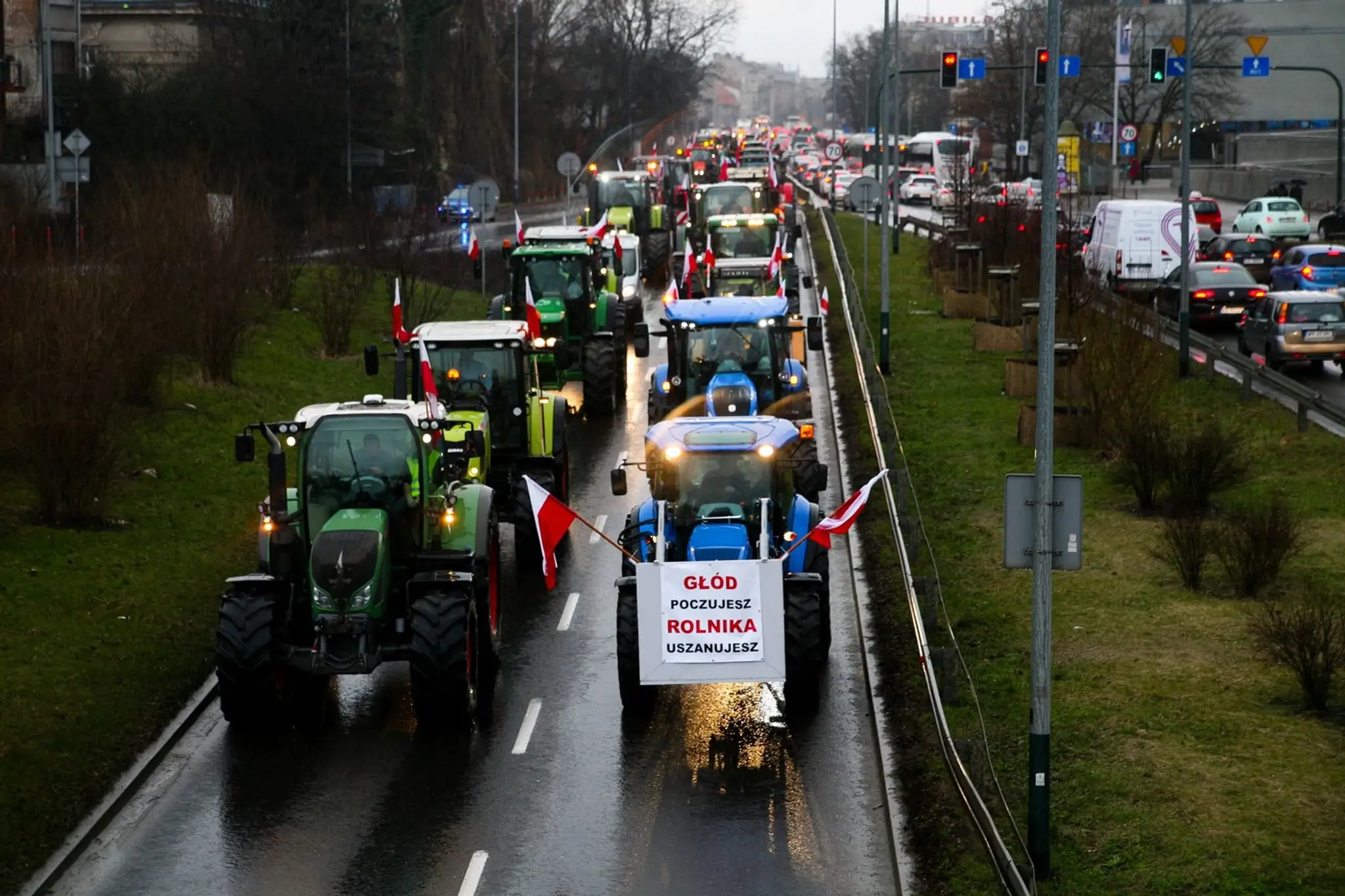 Protest v Krakove