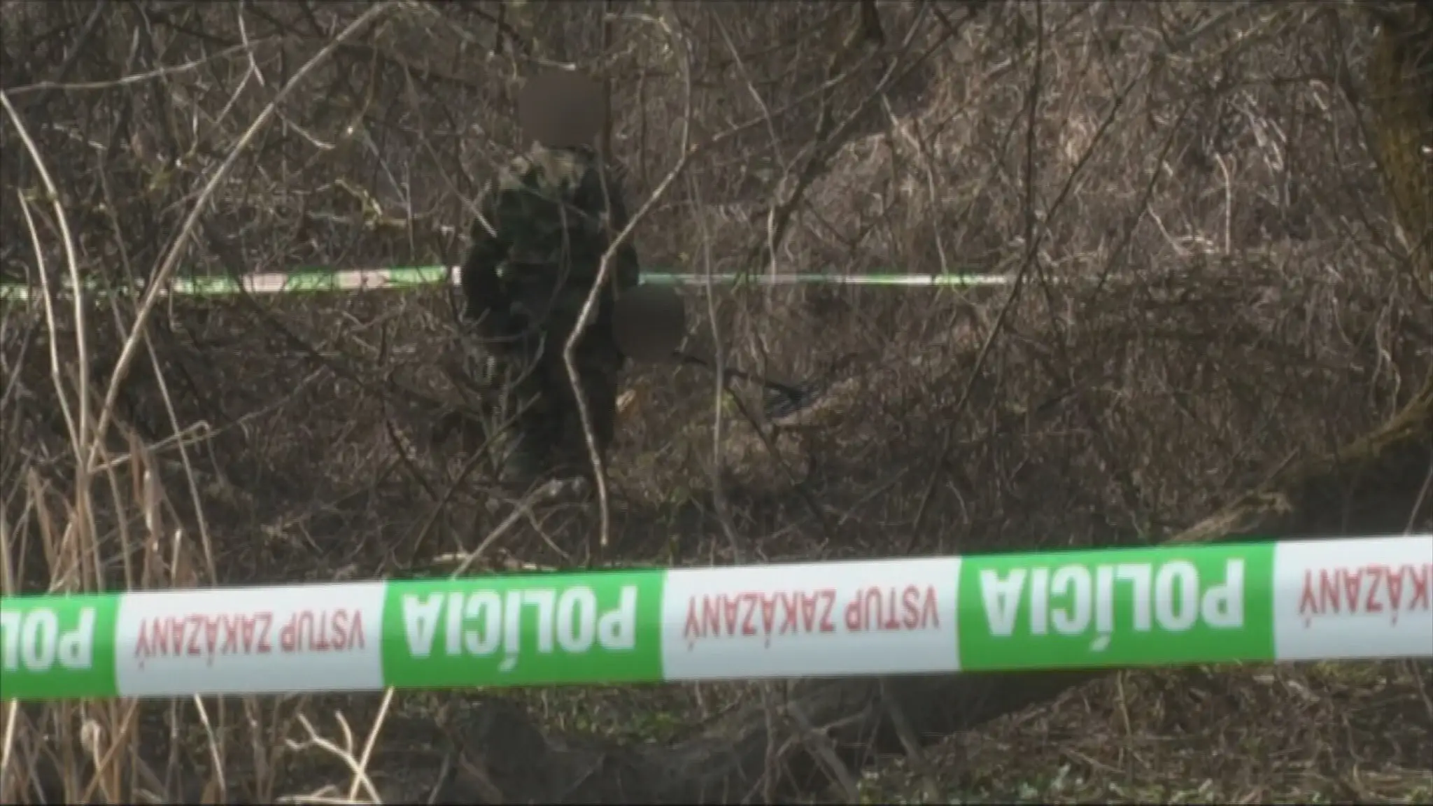 Vrah na slobode