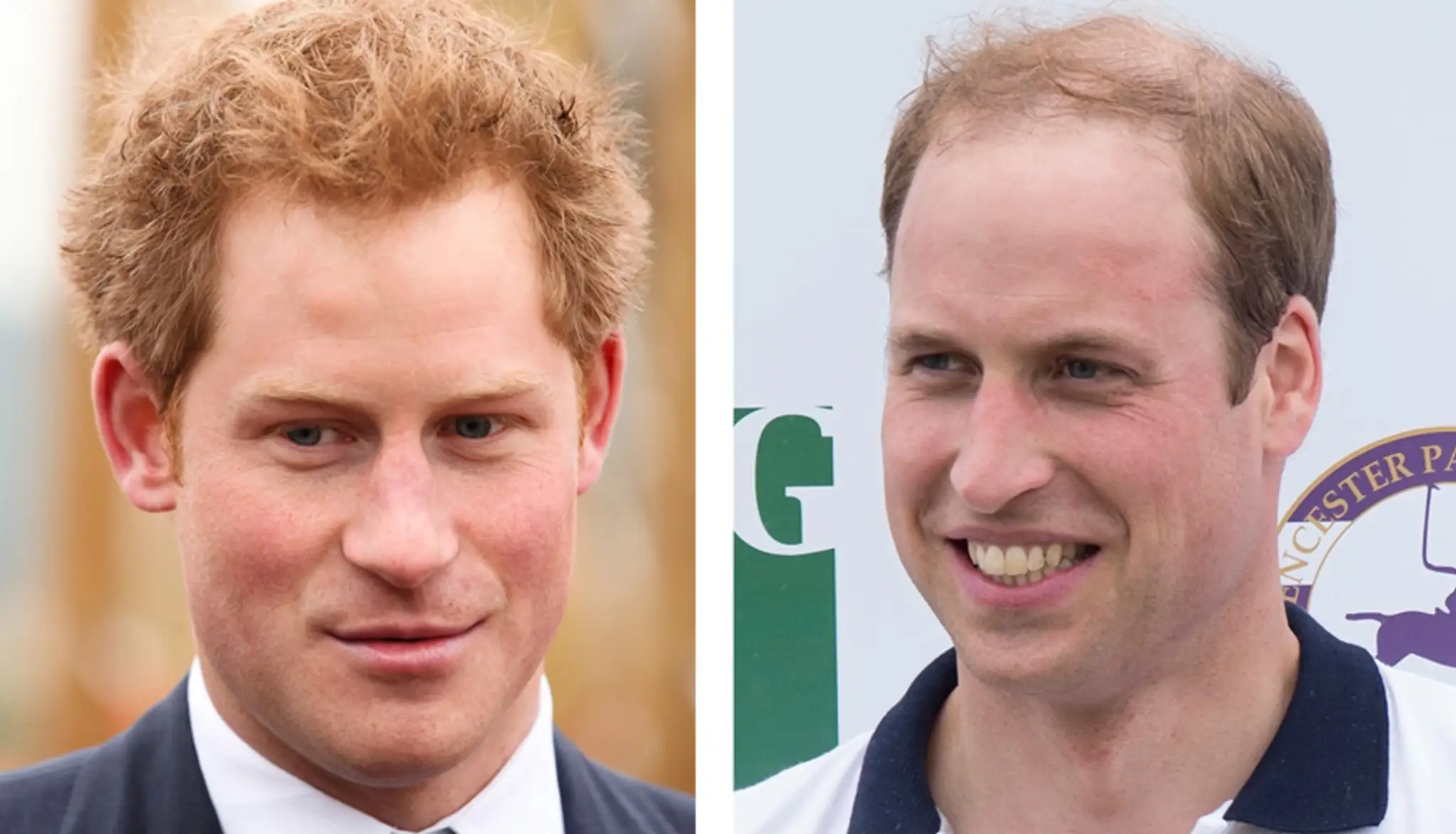 Princovia Harry a William