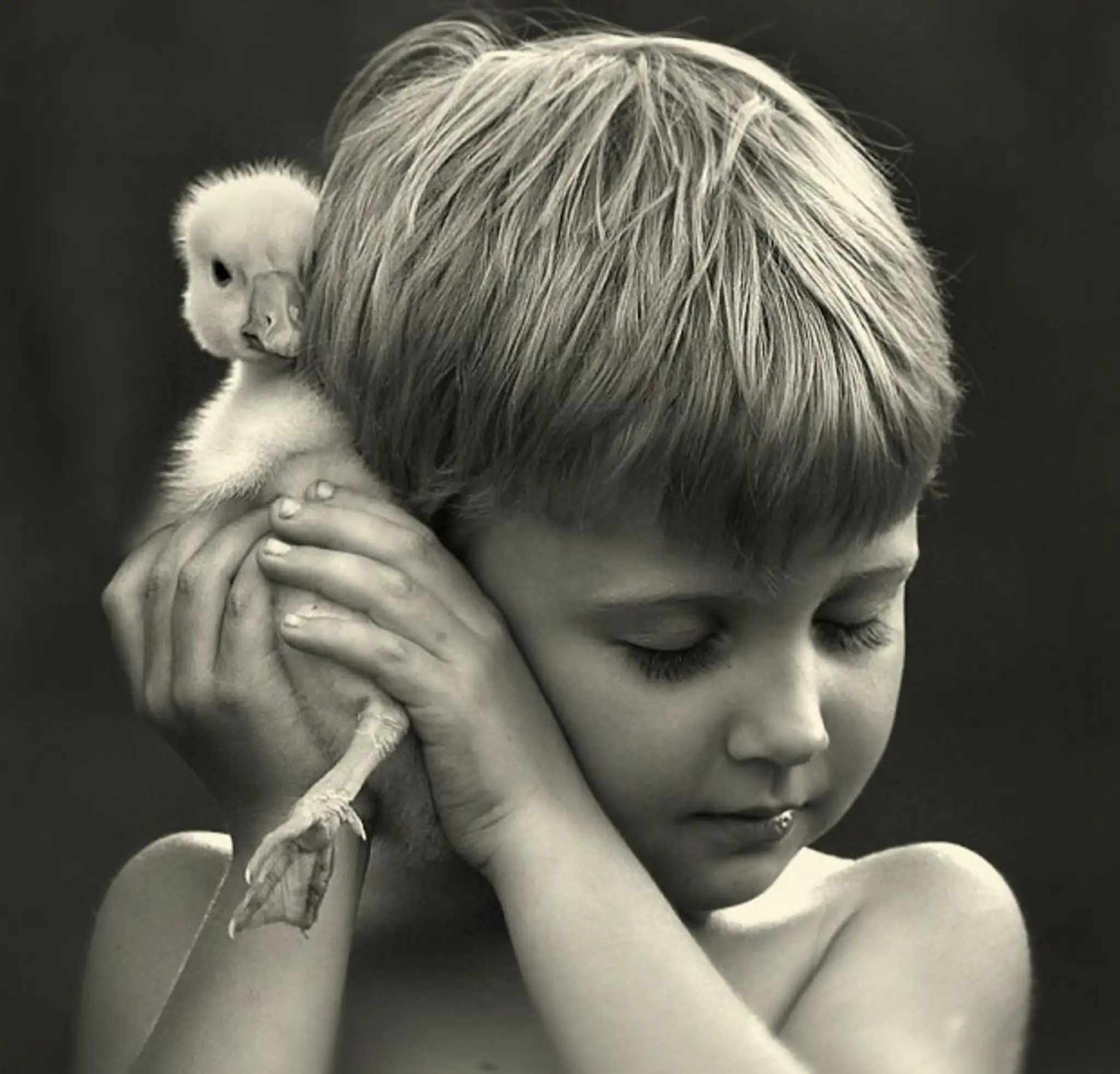 animal-children-photography-elena-shumilova-16-620x595.jpg