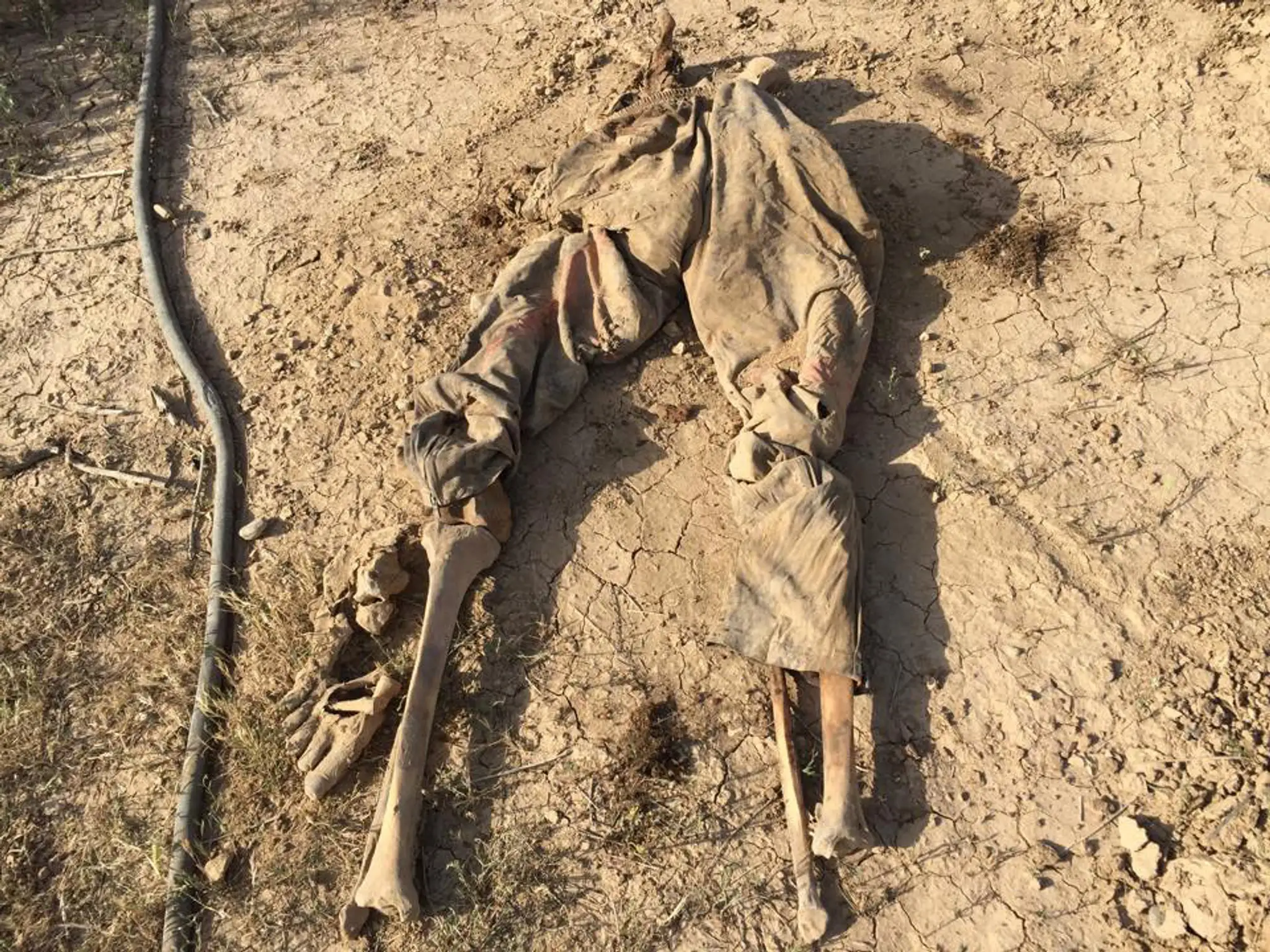 Mideast_Iraq662498239499.jpg