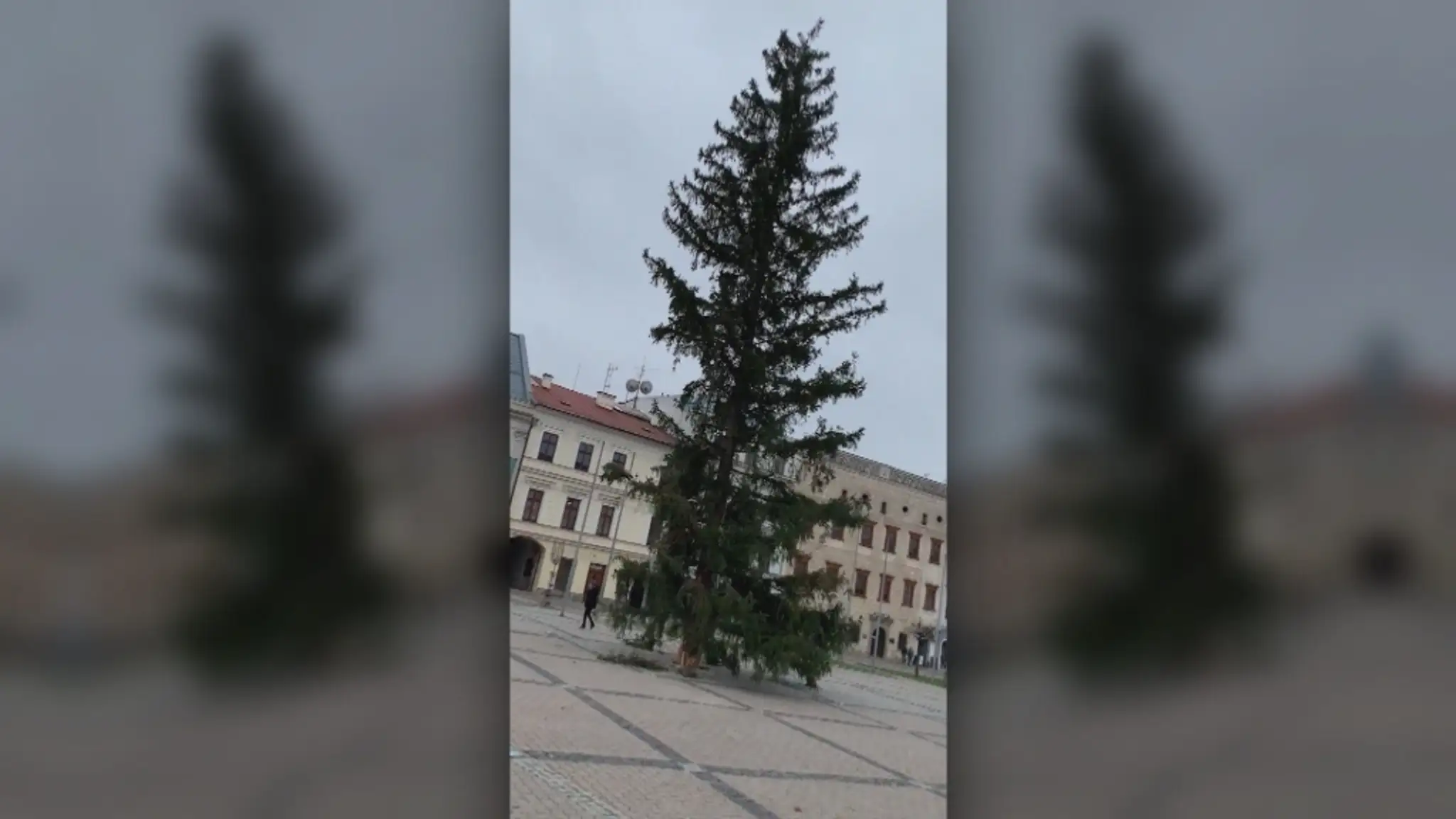 Hráči Leverkusenu oslavujú gól v LM na pôde Lokomotivu Moskva.