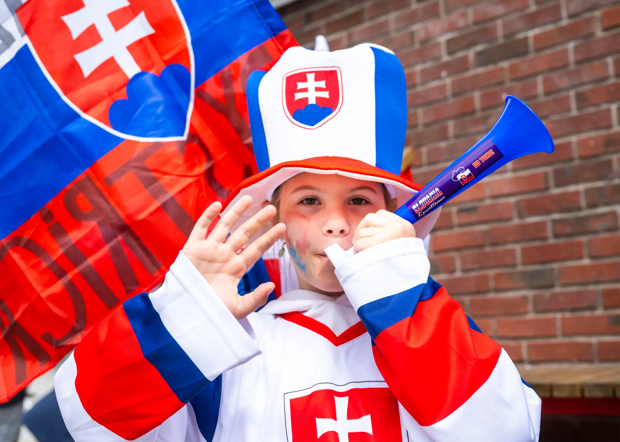 Slovensko - Slovinsko.