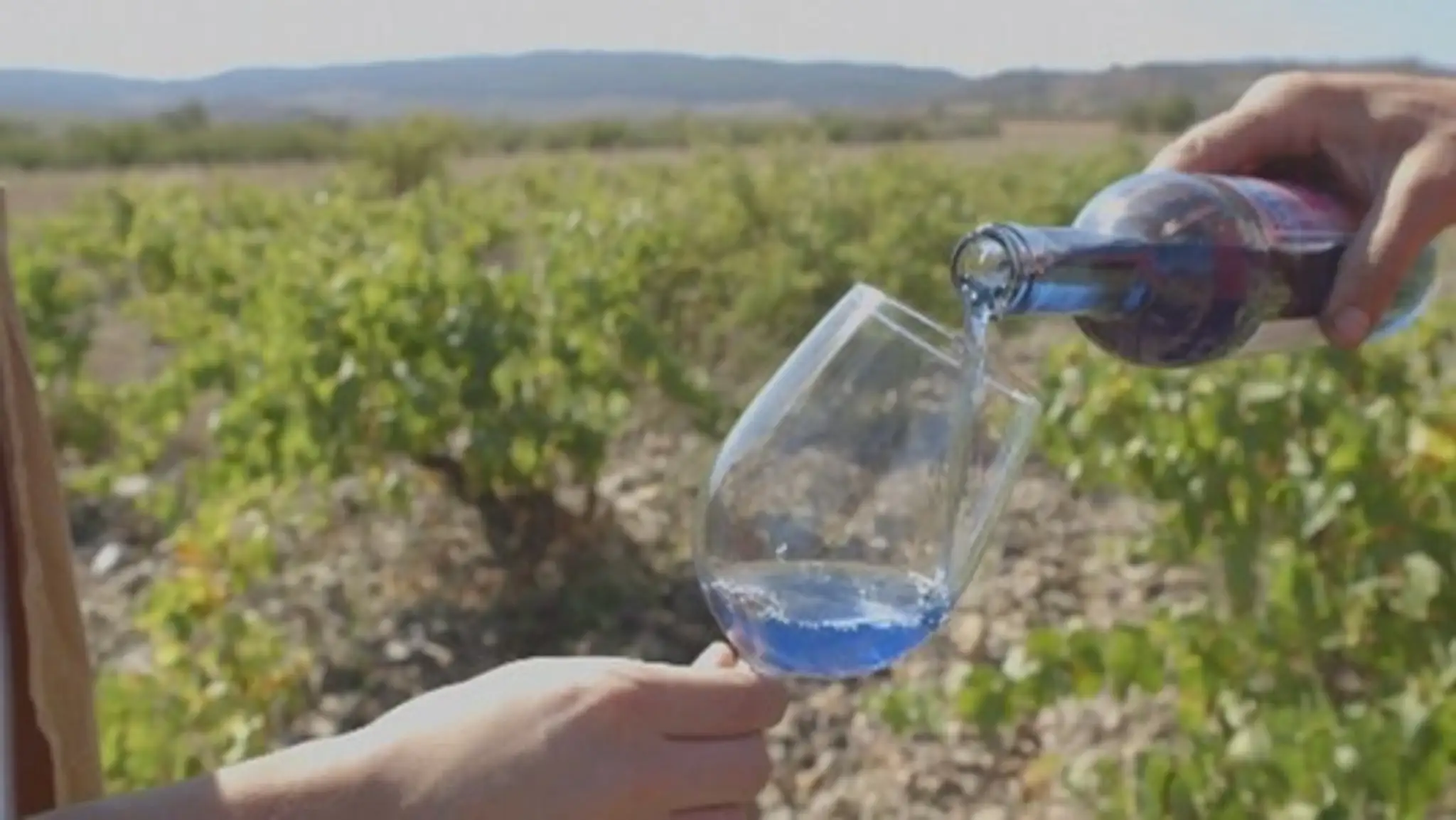 modre-vino.jpg