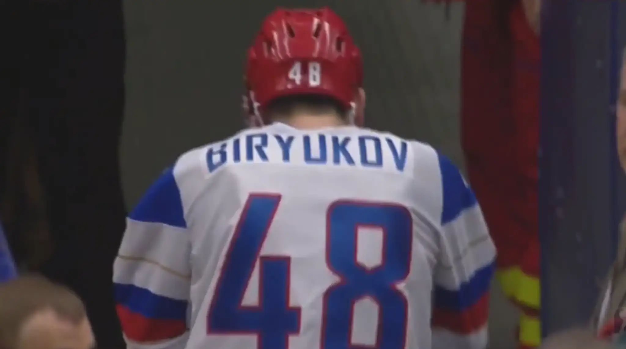 birjukova.png