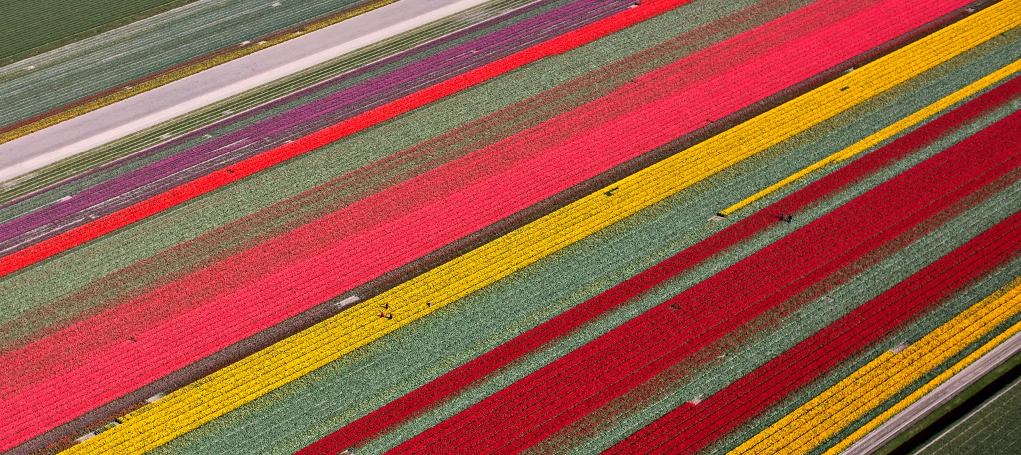 Netherlands_Daily_Life366409347151.jpg