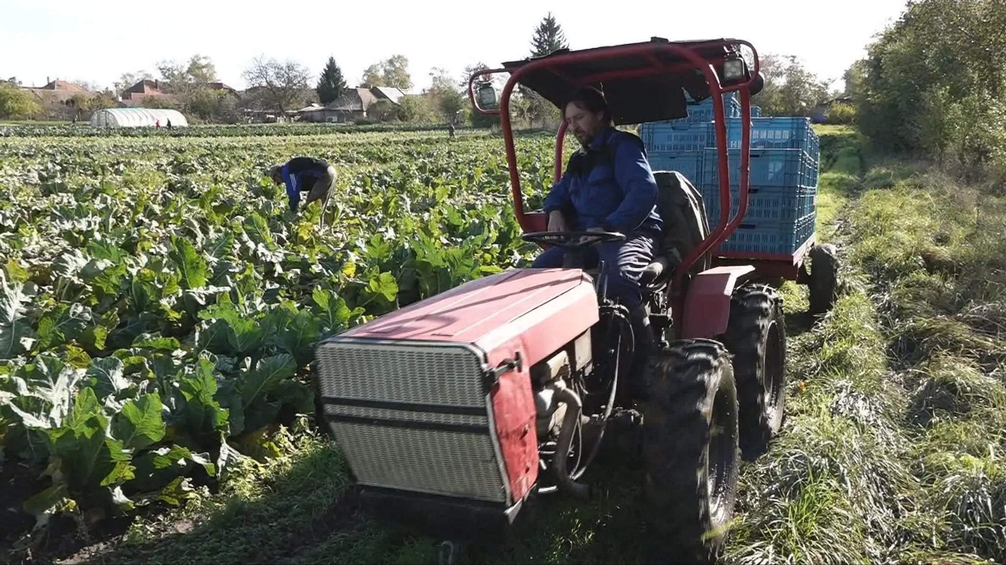 farmár a traktor