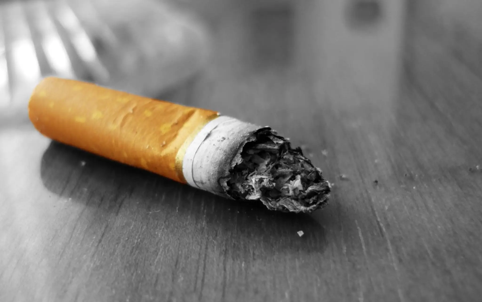 ciga.jpg