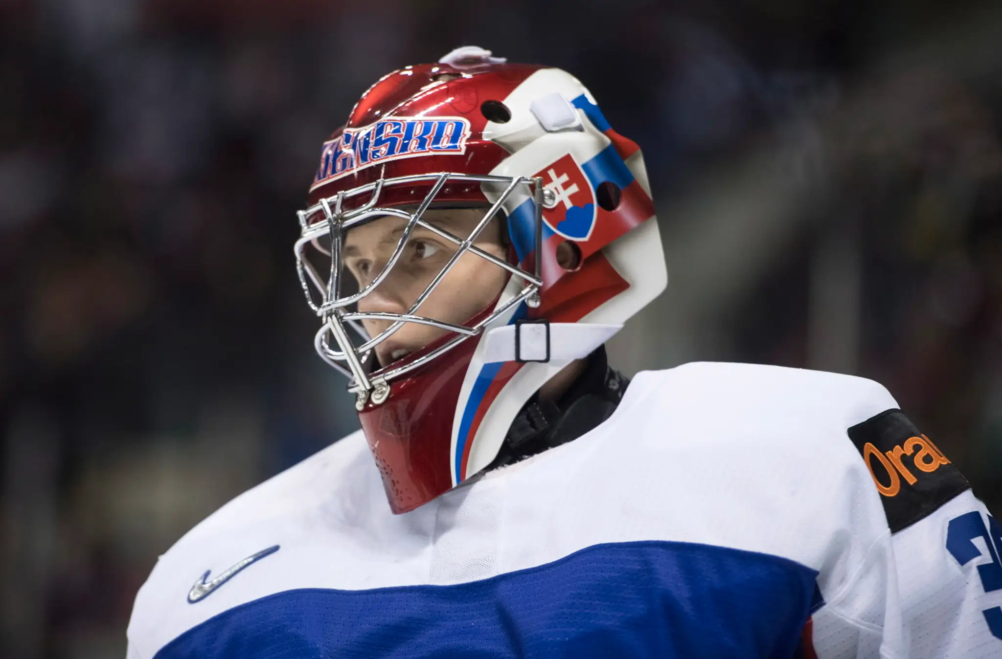 Sprava Adam Liška a Švéd Fabian Zetterlund v dueli na MS do 20 rokov. 