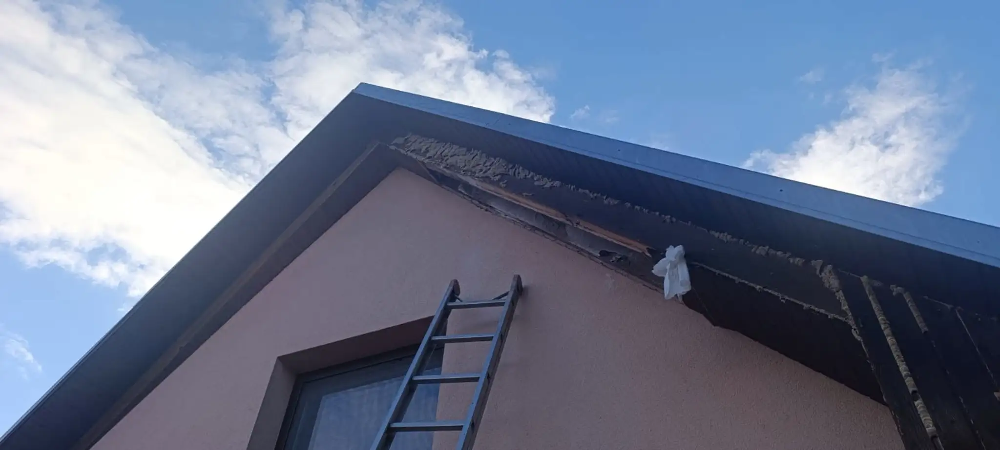 Likvidácia ohniska sršňa ázijského v obci Uloža