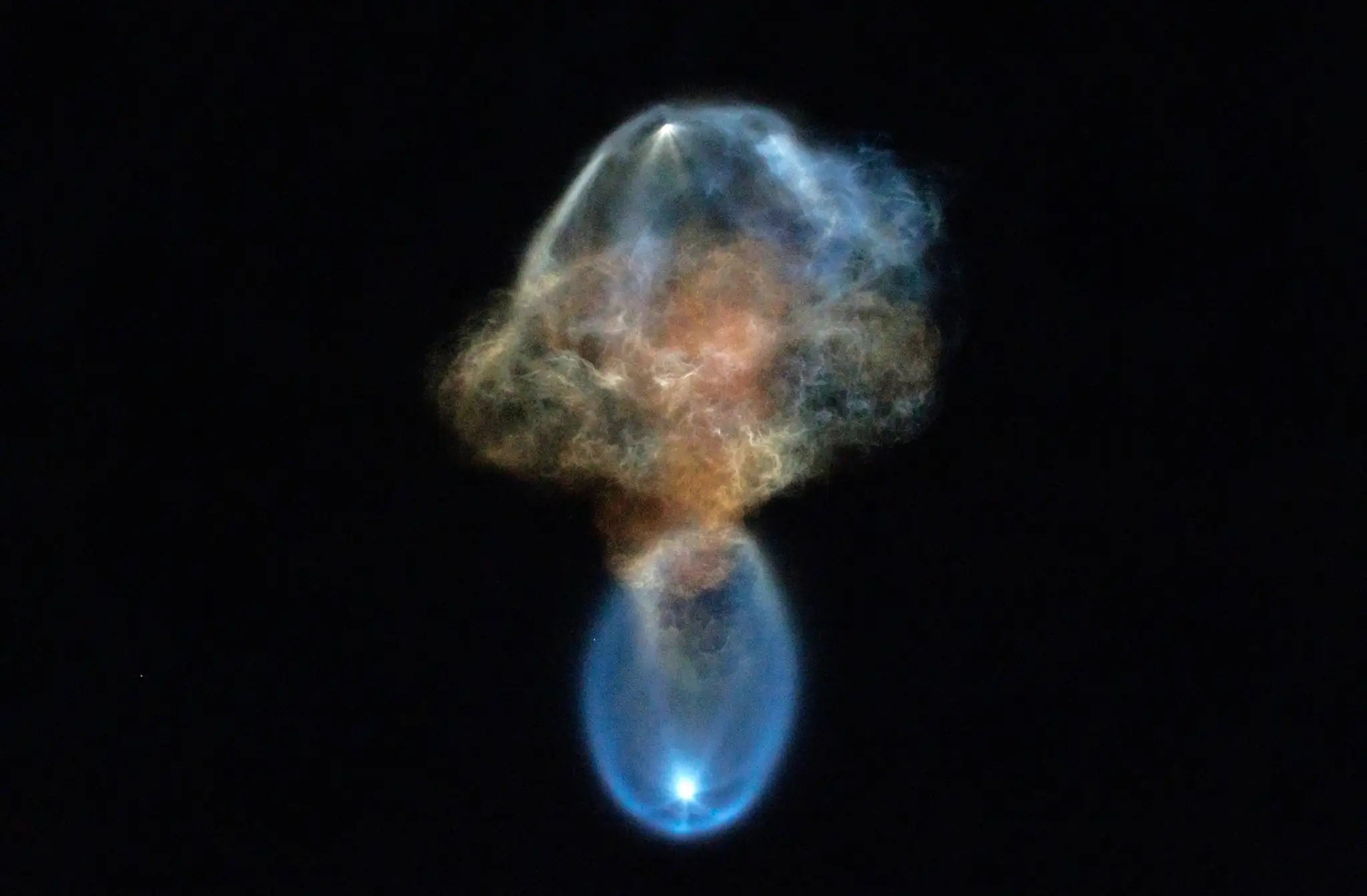 SpaceX jellyfish (2)