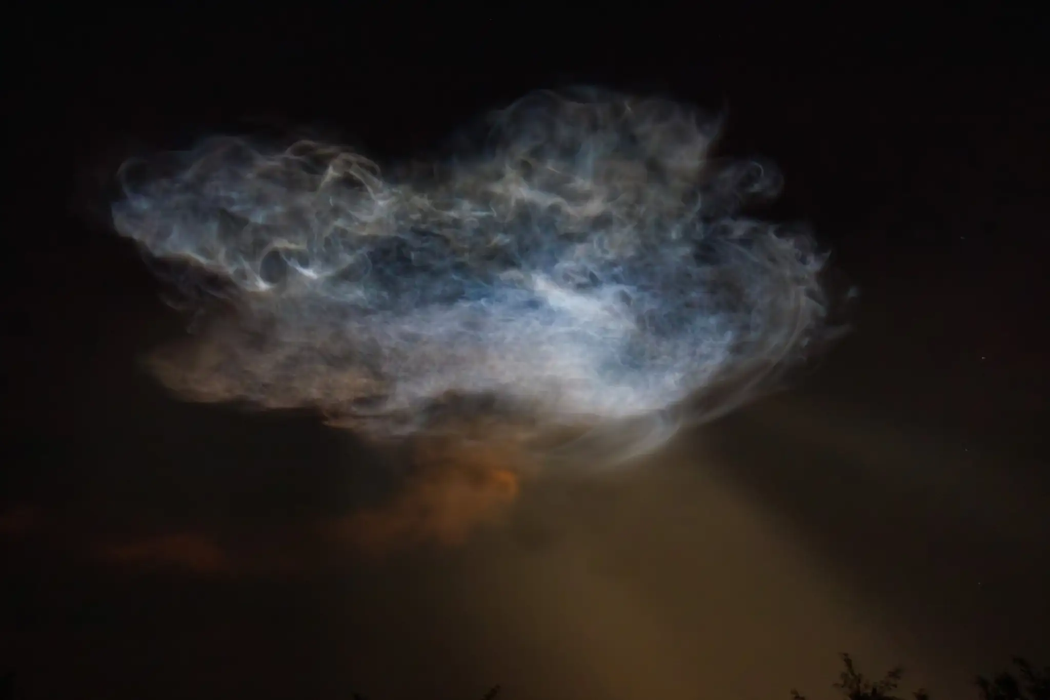 SpaceX jellyfish (3)