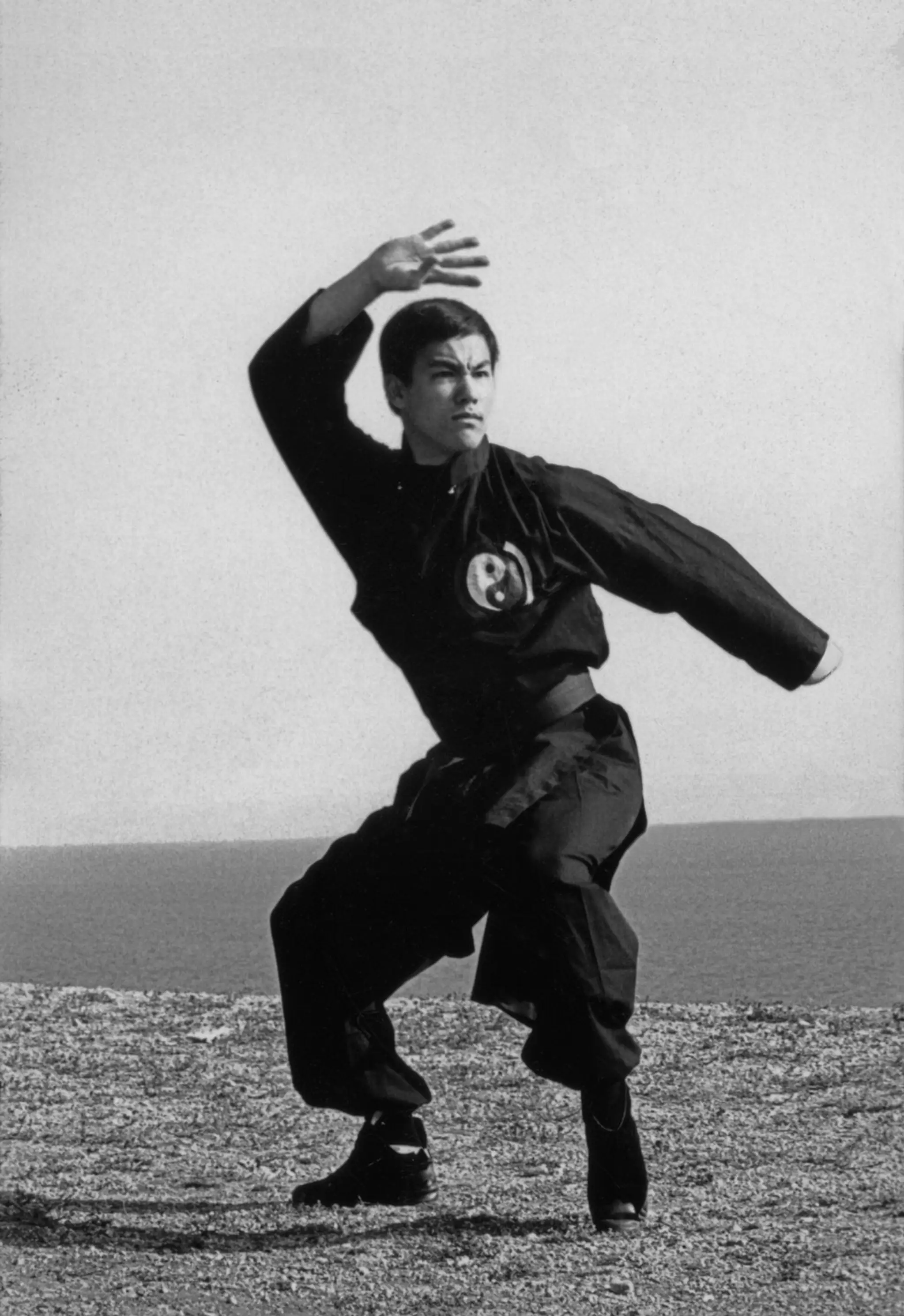Bruce Lee