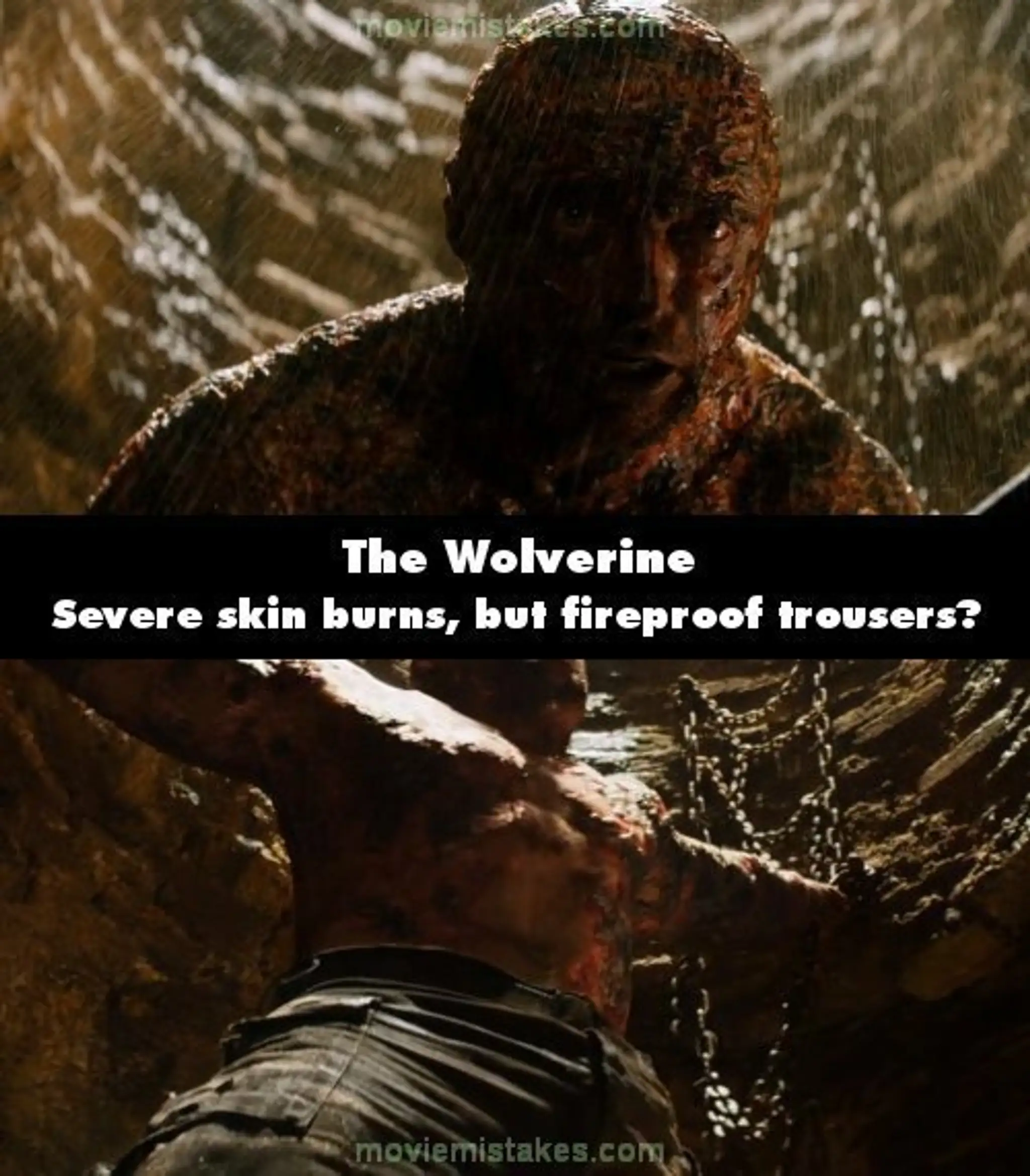 wolverine.jpg