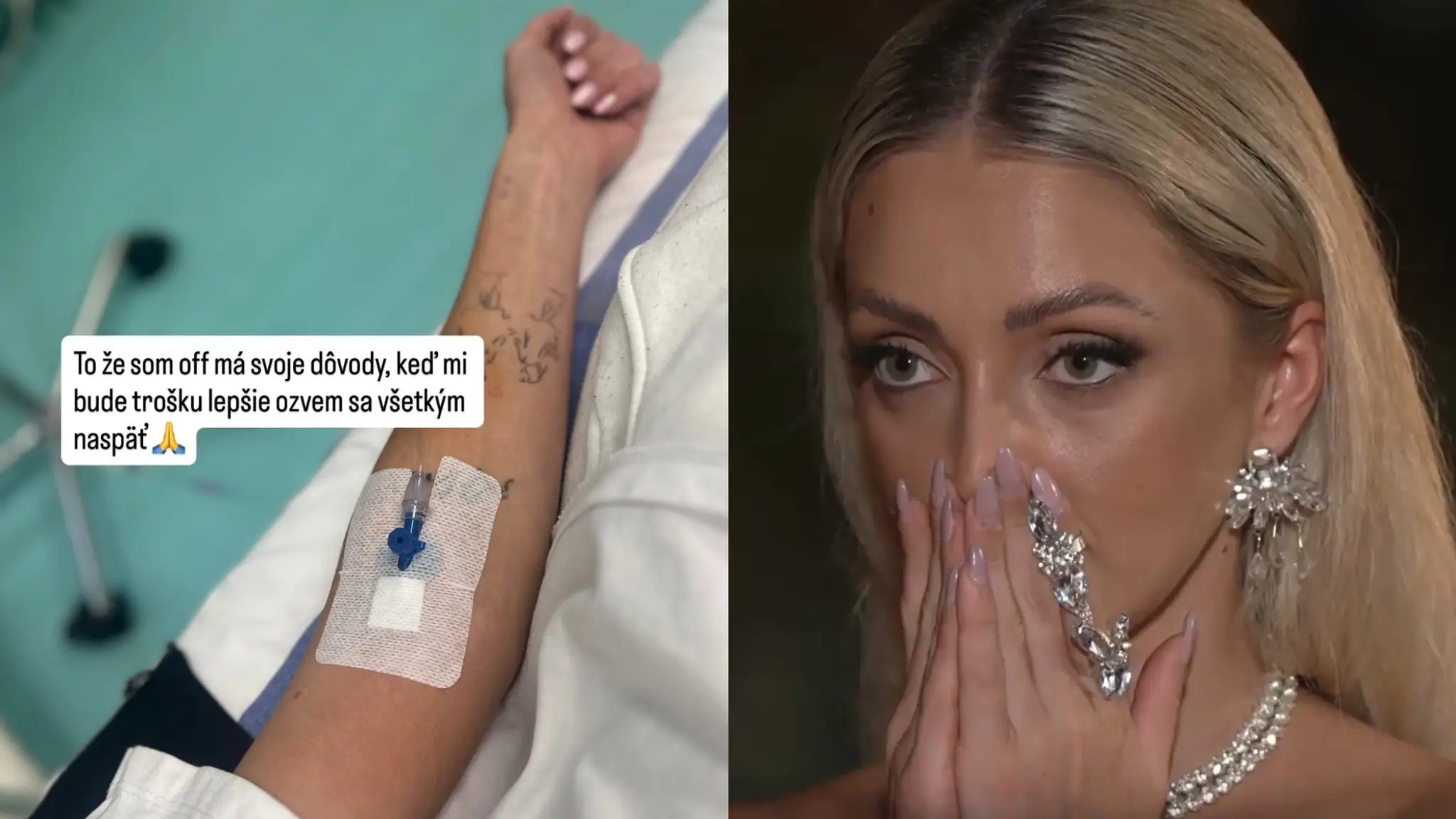 Miška z Ruže skončila v nemocnici