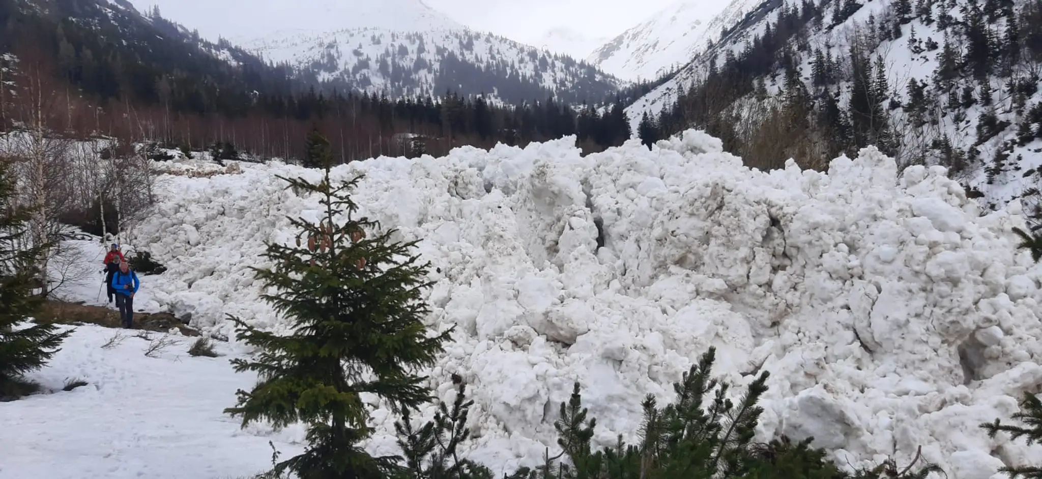V Žiarskej doline spadla lavína