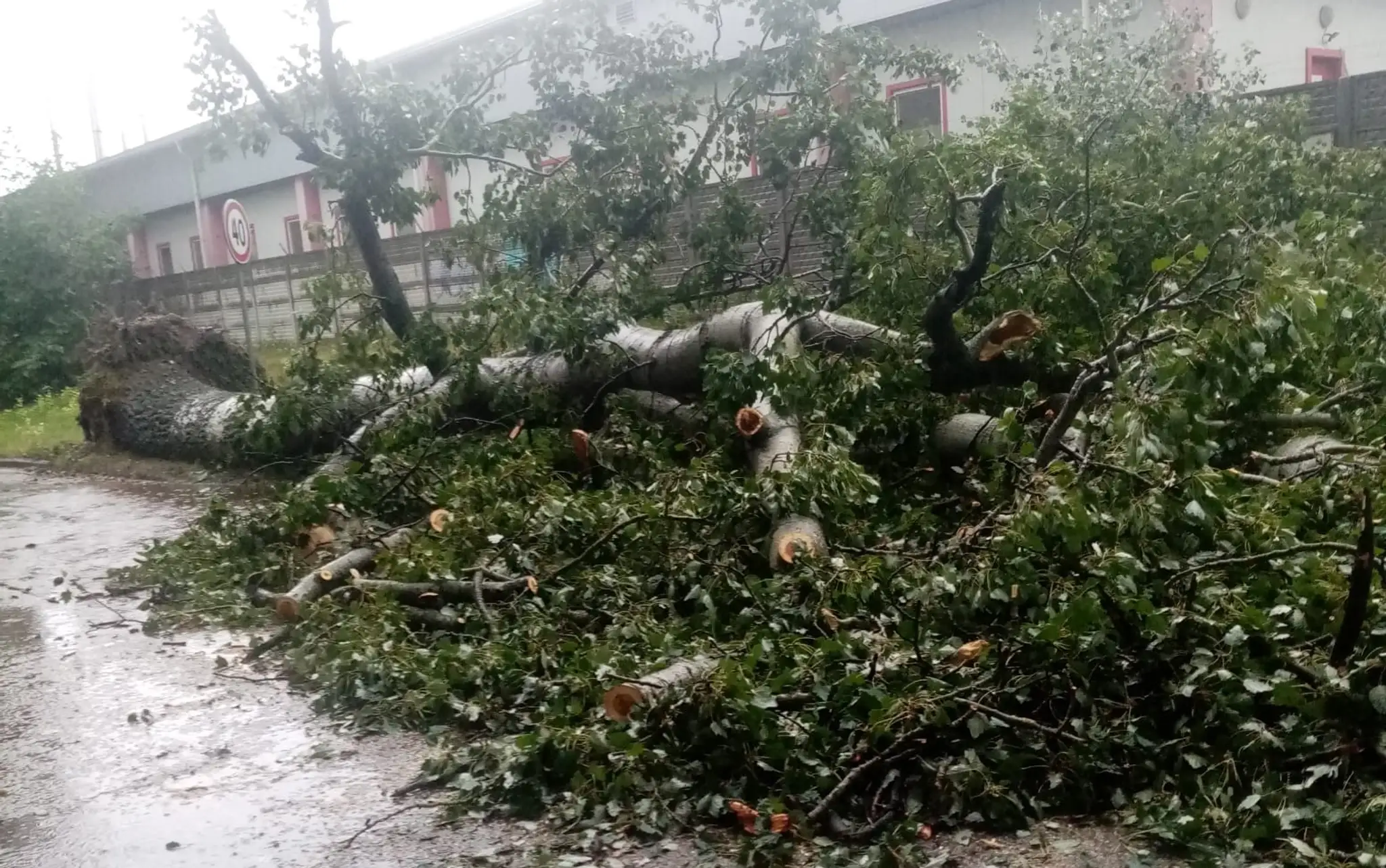 Vyvrátený strom vo Vrakuni