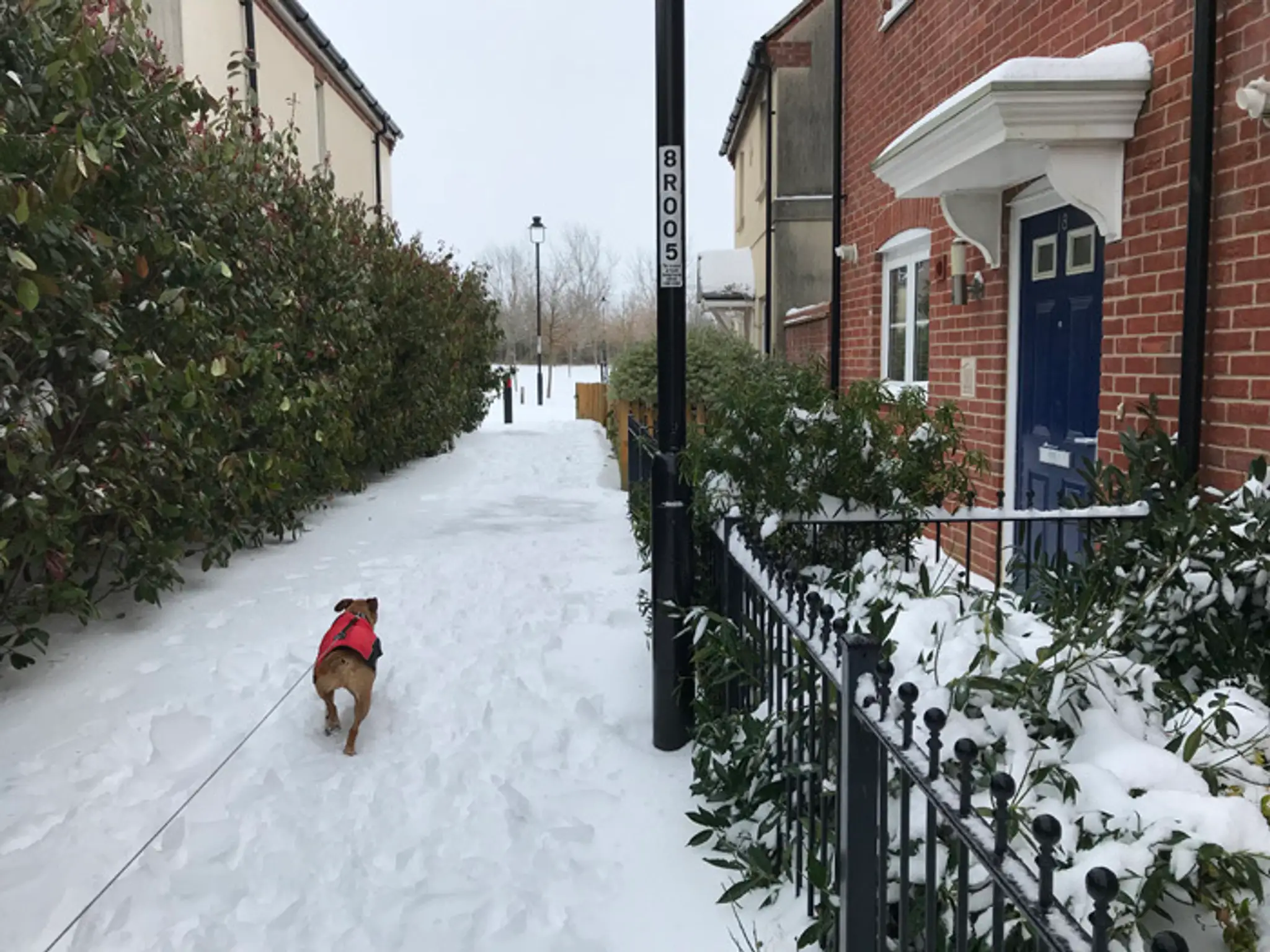Slováci si konečne užívajú sneh po mnohých rokoch. Blandford, Dorset Anglicko