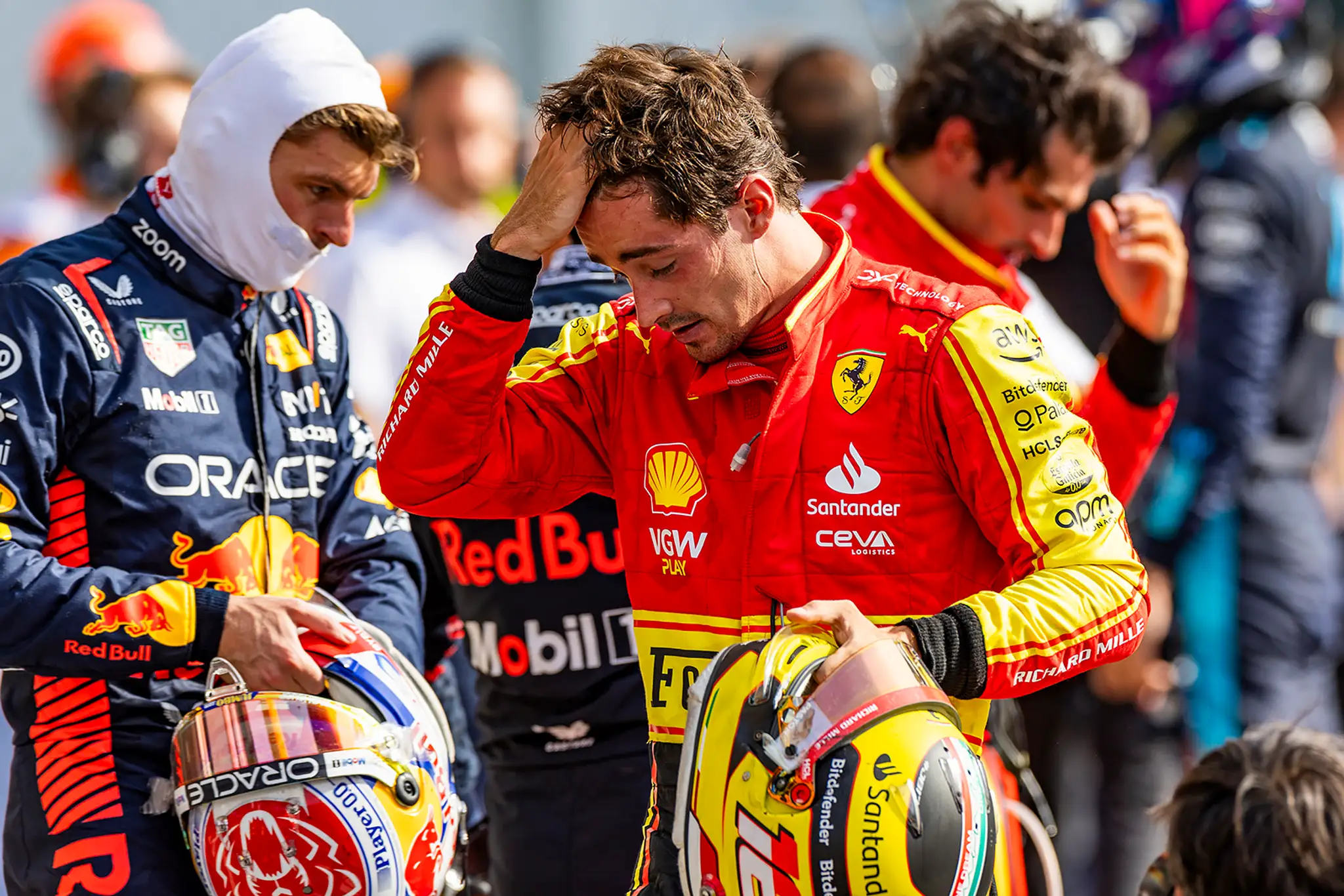 Španiel Charles Leclerc.