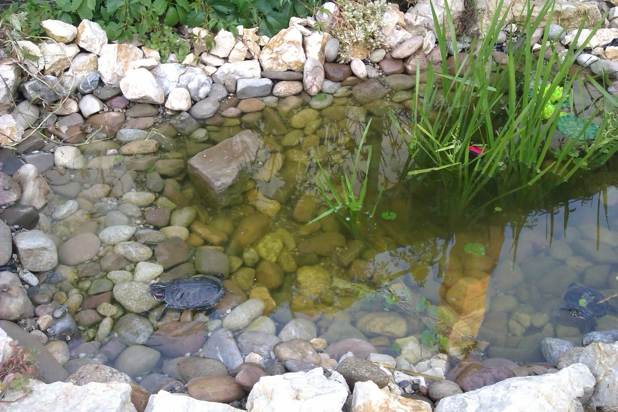 Farma Kvietok