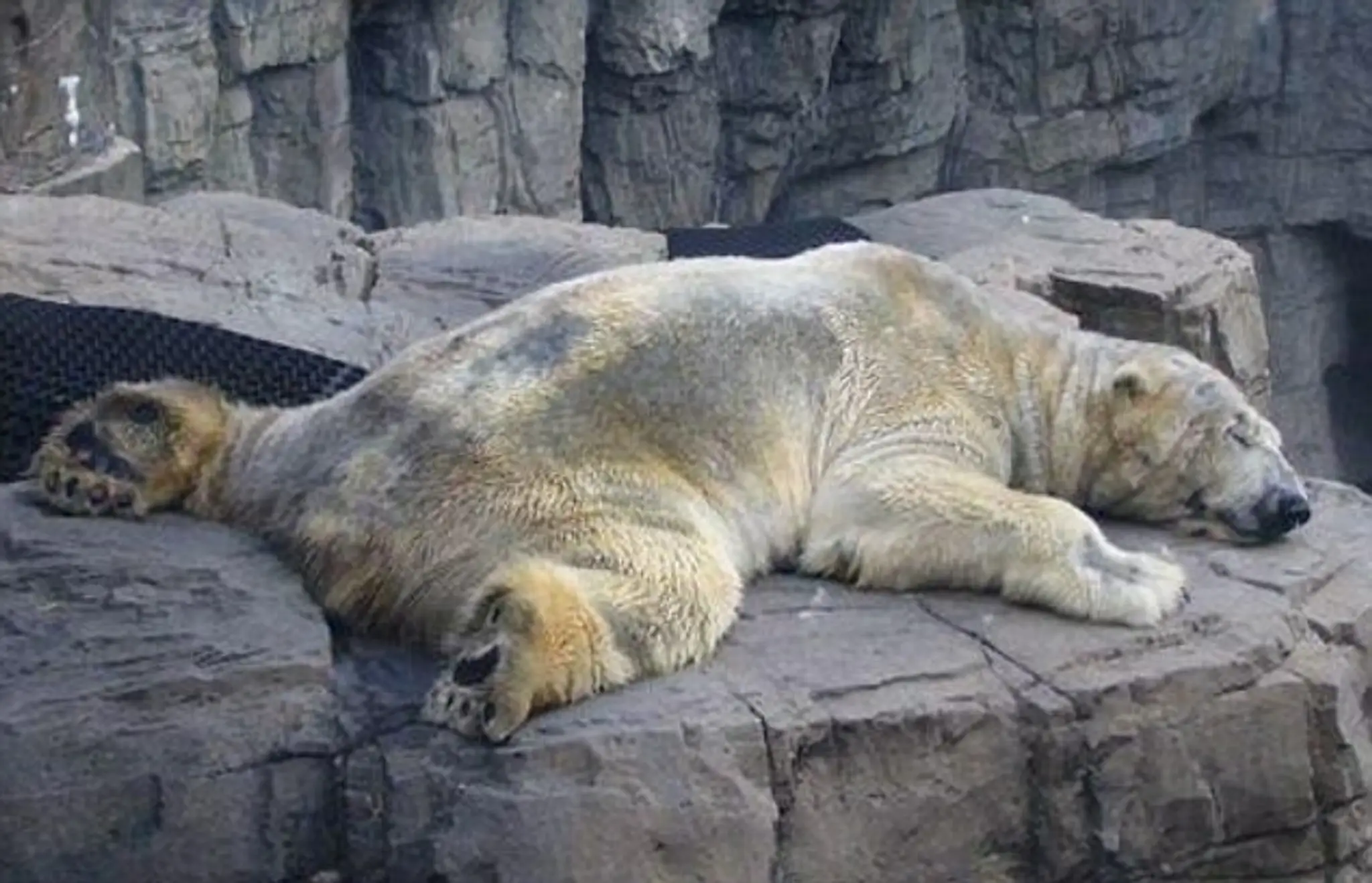 arturo3.jpg