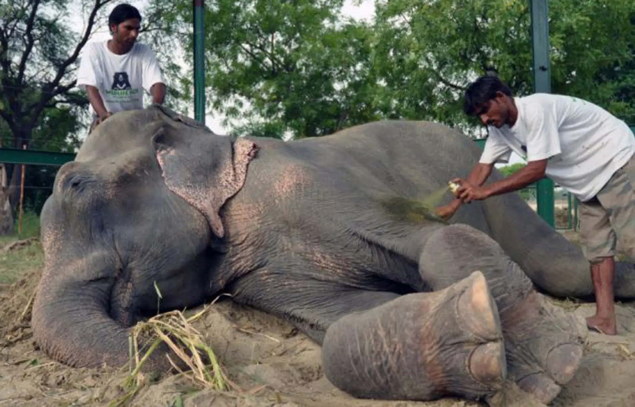 raju2.jpg