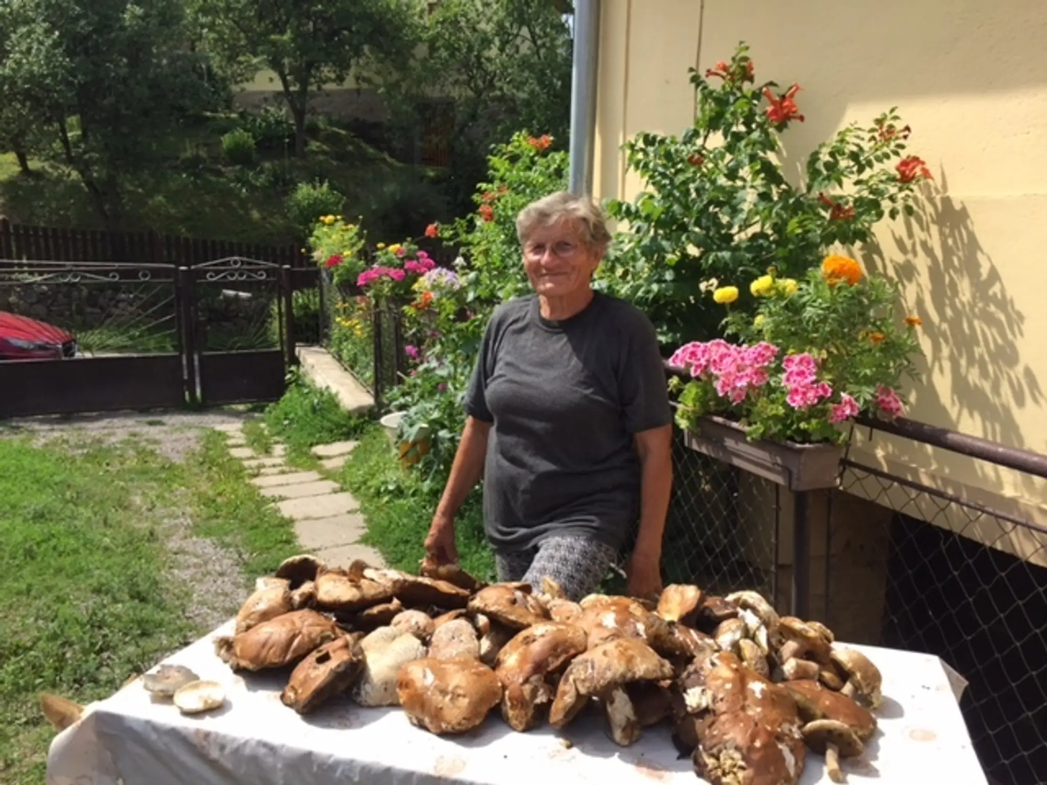 Zuzana našla šesťdesiat dubákov na jednom mieste 