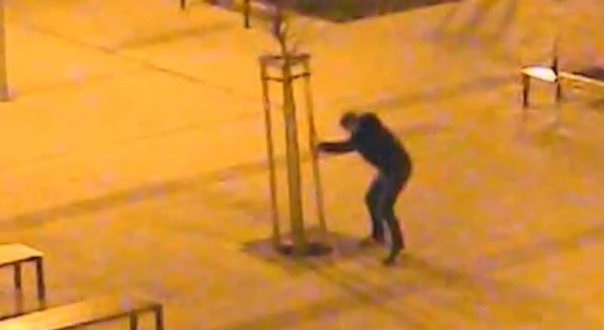 vandal.jpg