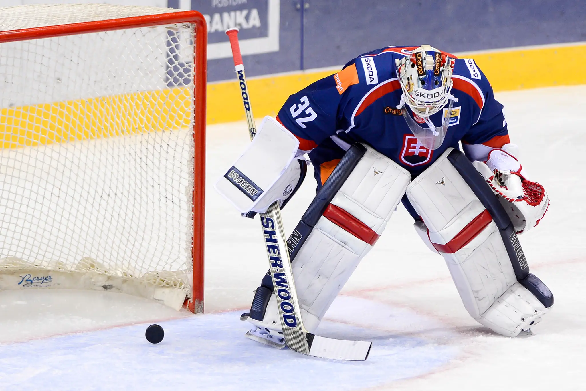 Na snímke Jaroslav Janus počas prípravného zápasu v rámci  European hockey Challenge medzi Slovenskom a Ruskom