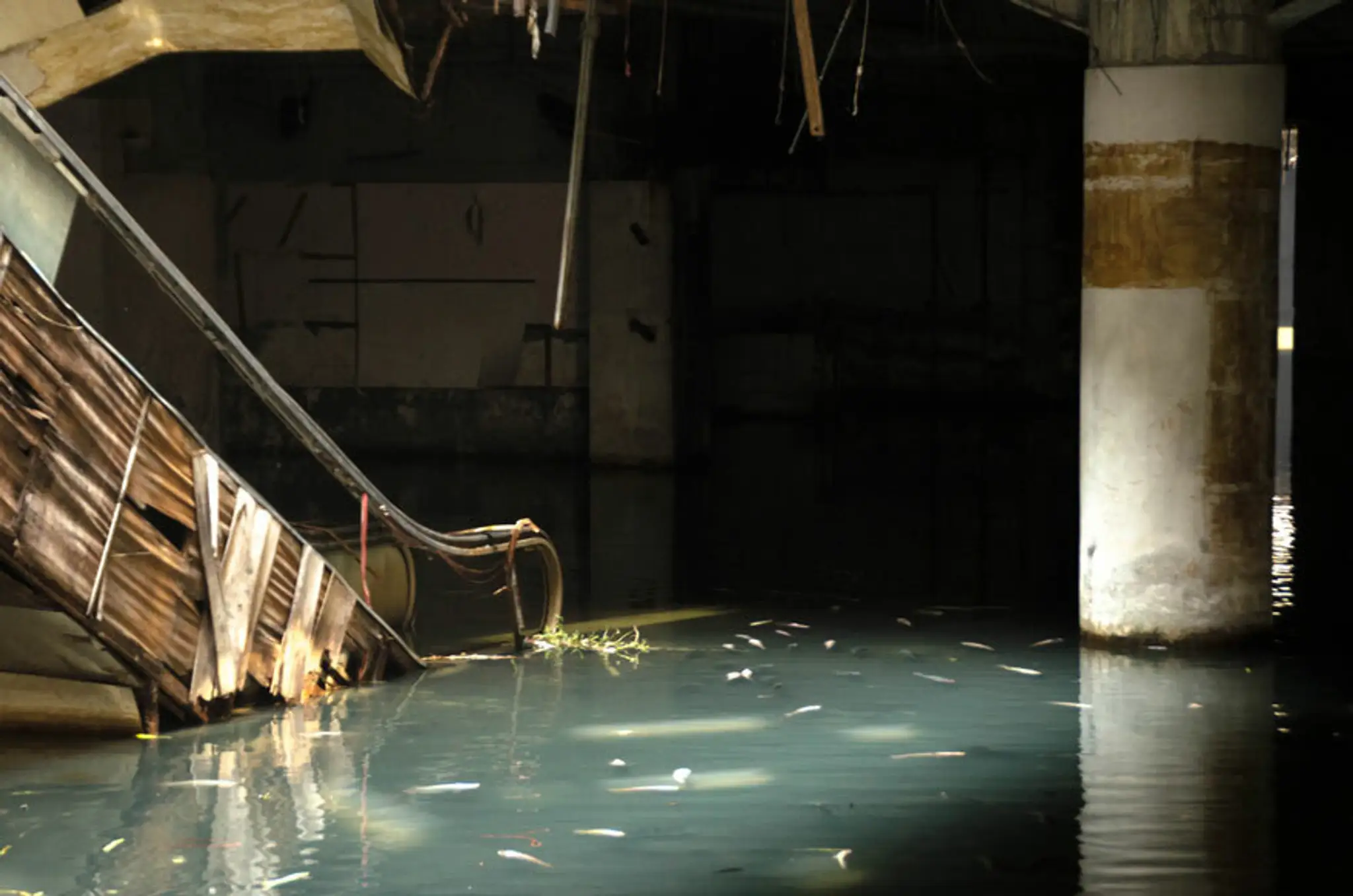 abandoned-shopping-mall-bangkok-fish-jesse-rockwell-3.jpg