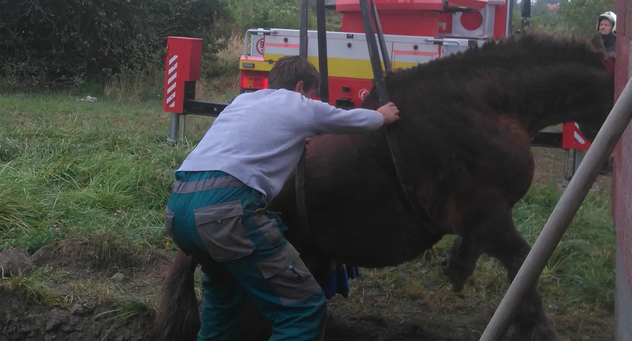 Do stavebného výkopu spadol kôň v Limbachu.