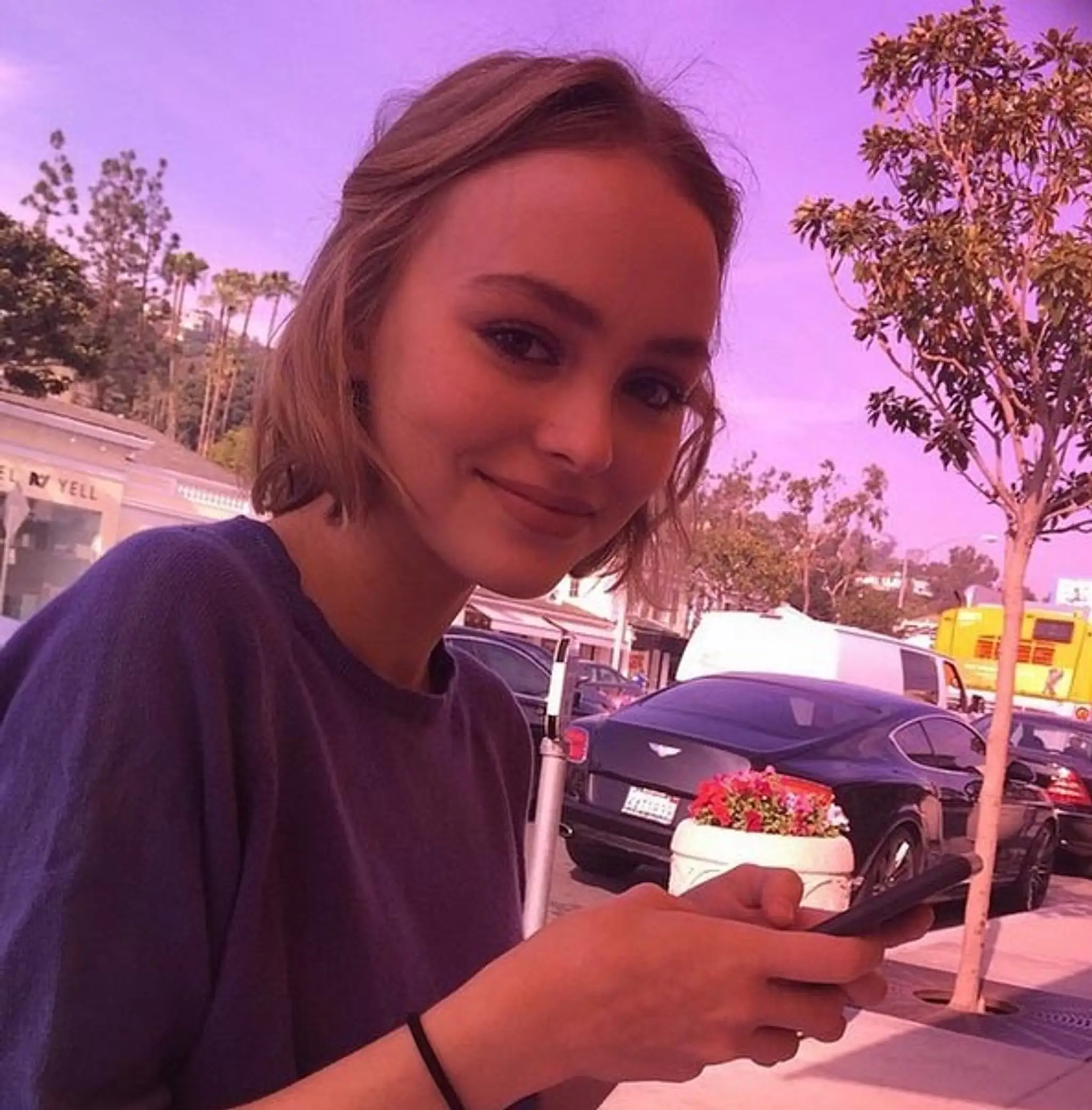 lily1.jpg