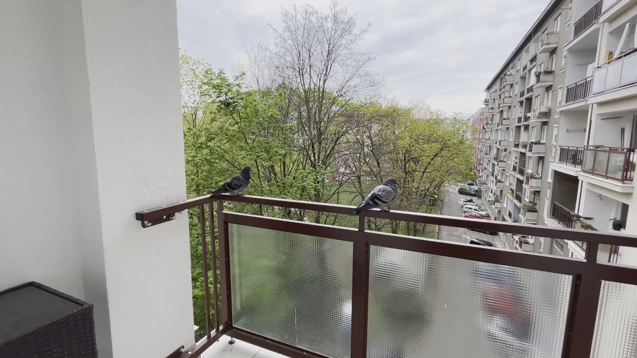 Holuby na balkóne paneláka