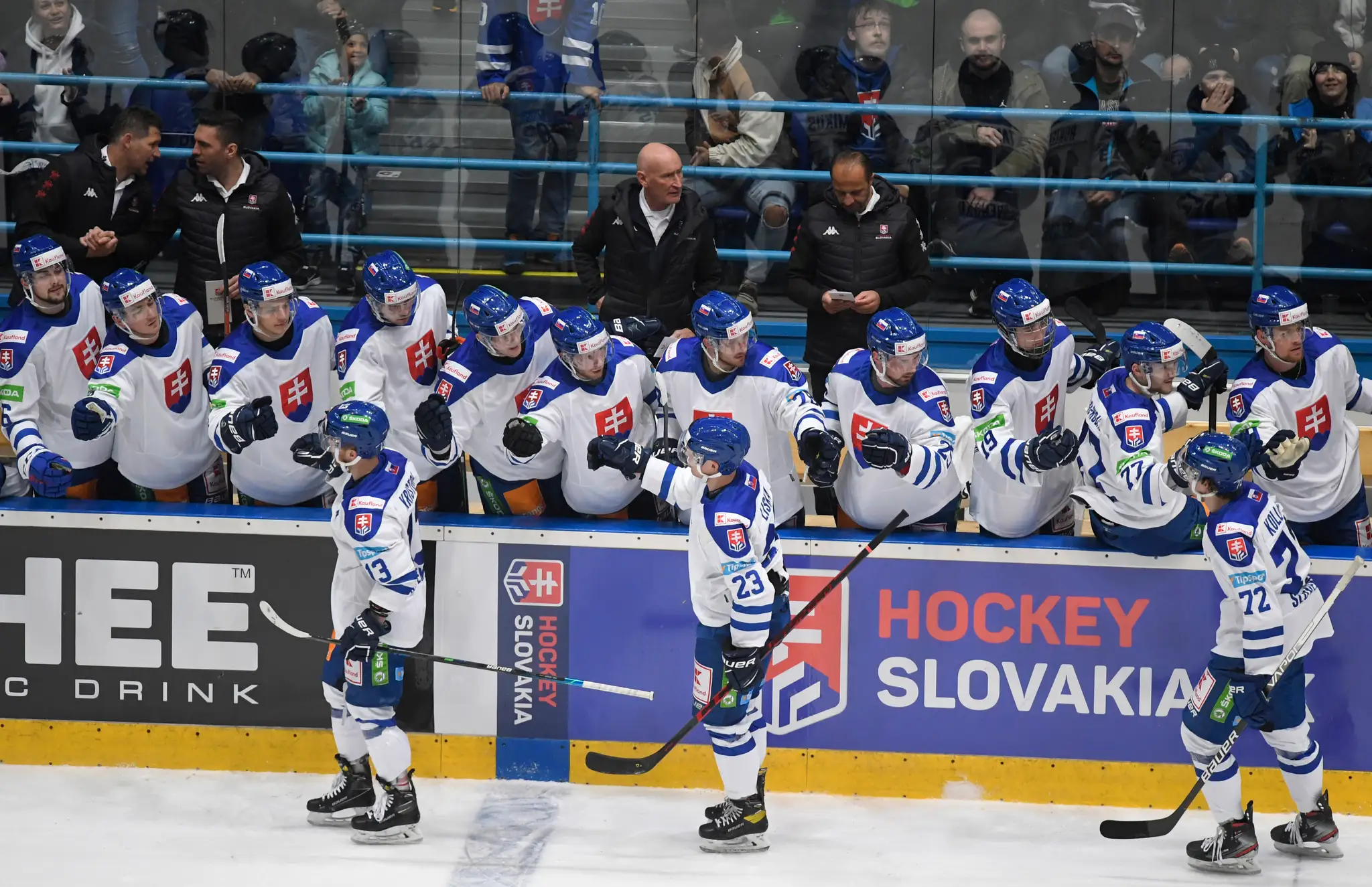 Striedačka Slovenska v prípravnom zápase proti Česku.