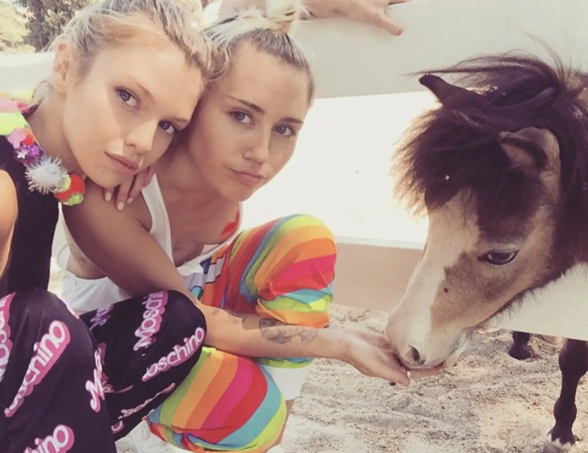 Stella a Miley