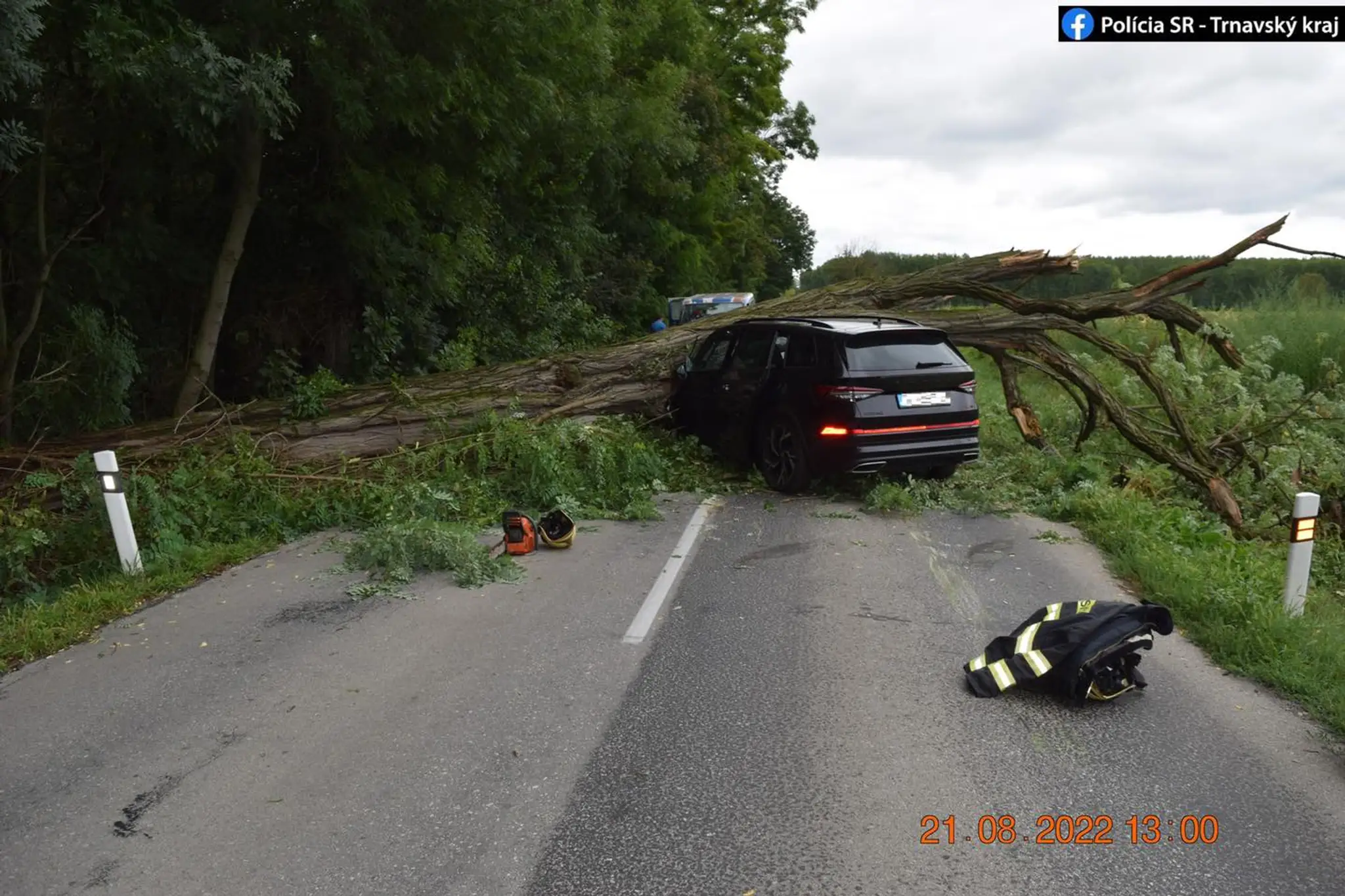 Na auto padol strom.
