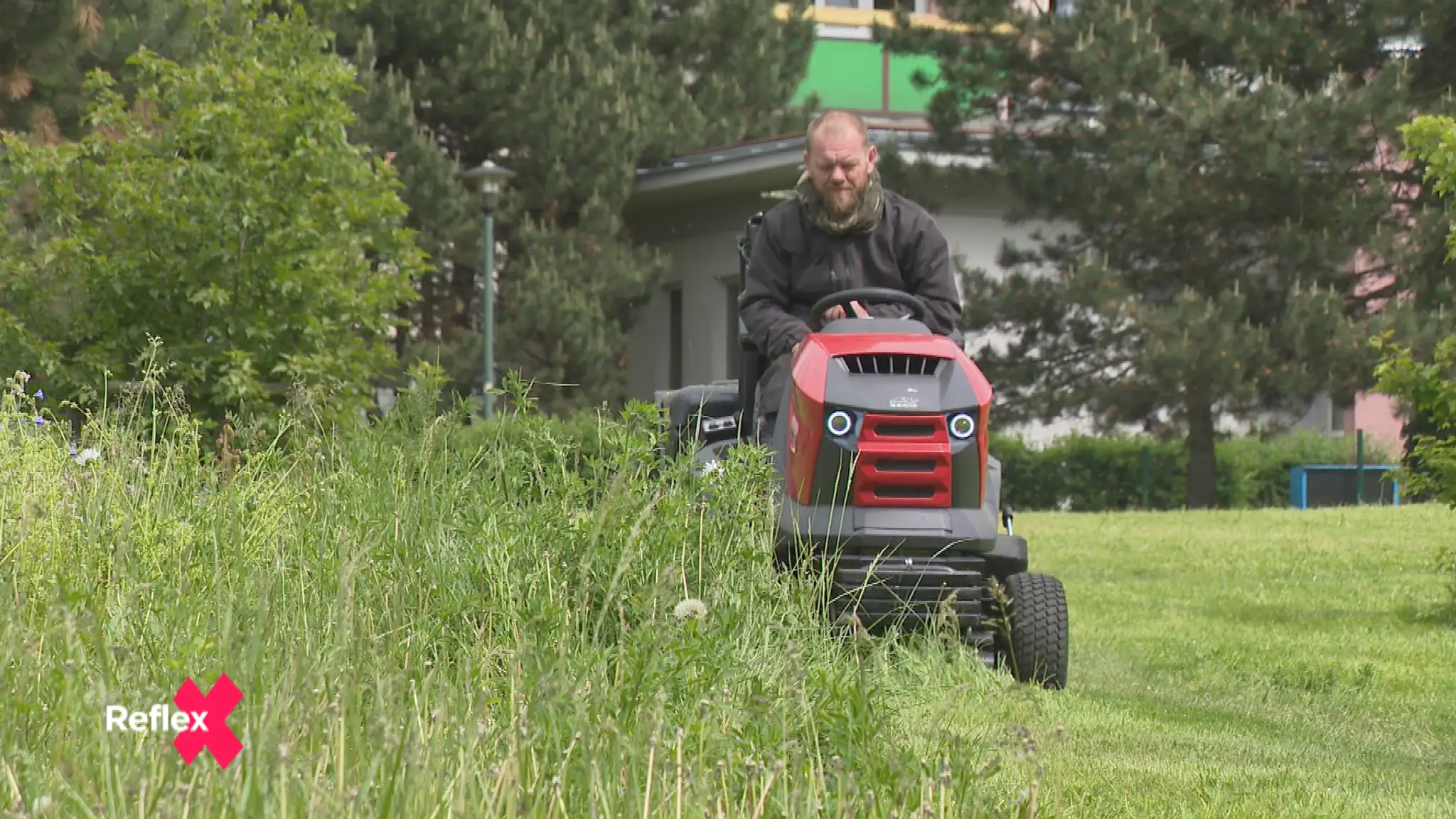 Kosiť či nekosiť? Alergici a ekoaktivisti majú iný názor