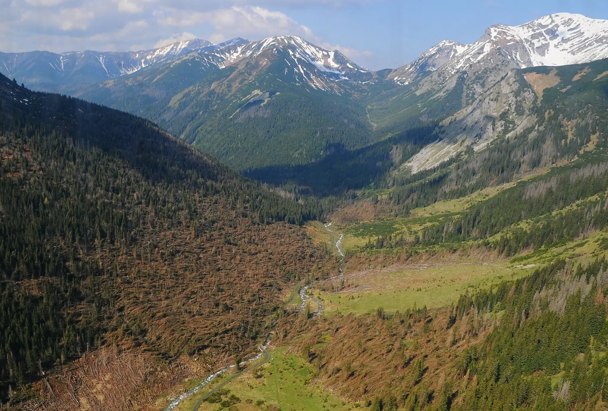 23052014Tatry_kalamita_6153781.jpg