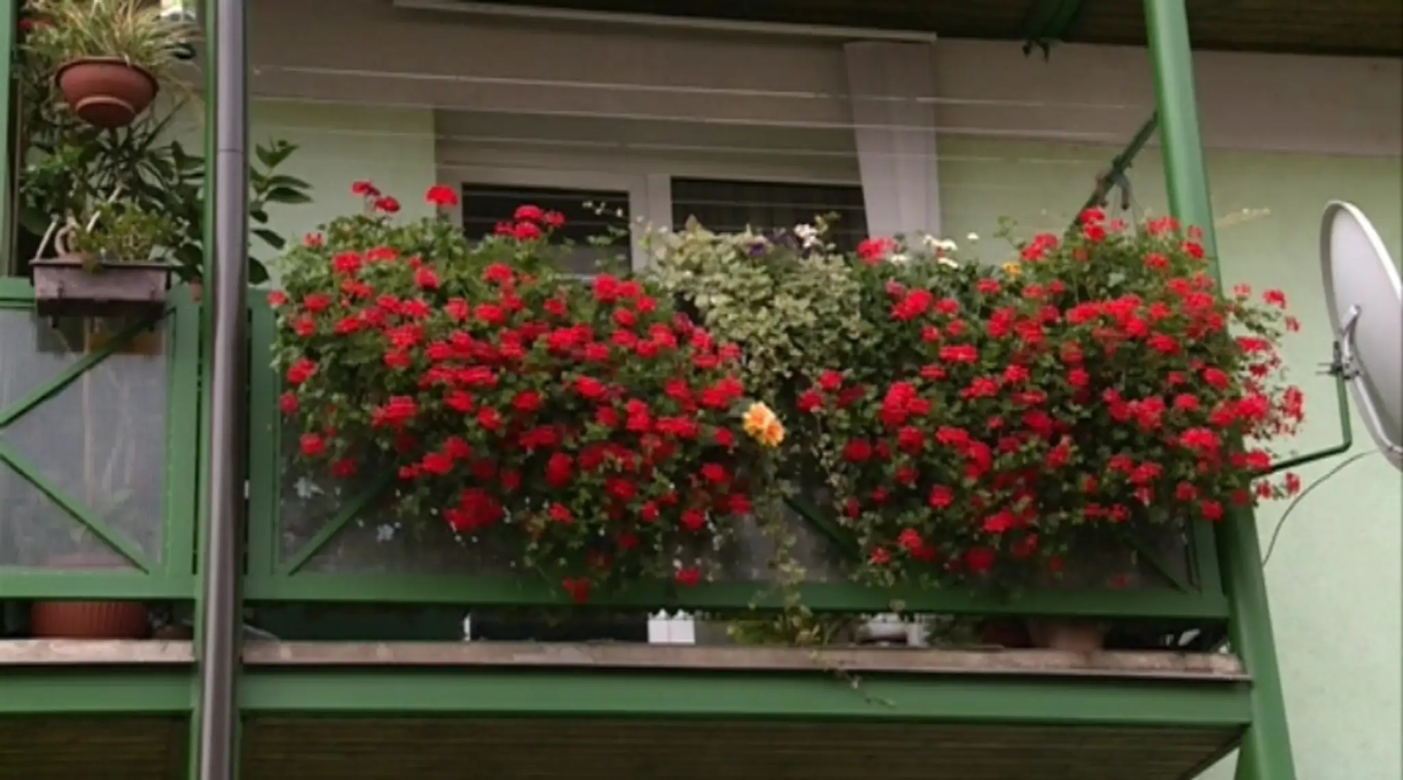 BALKON2web_jpg_bez_watermarku_1.jpg