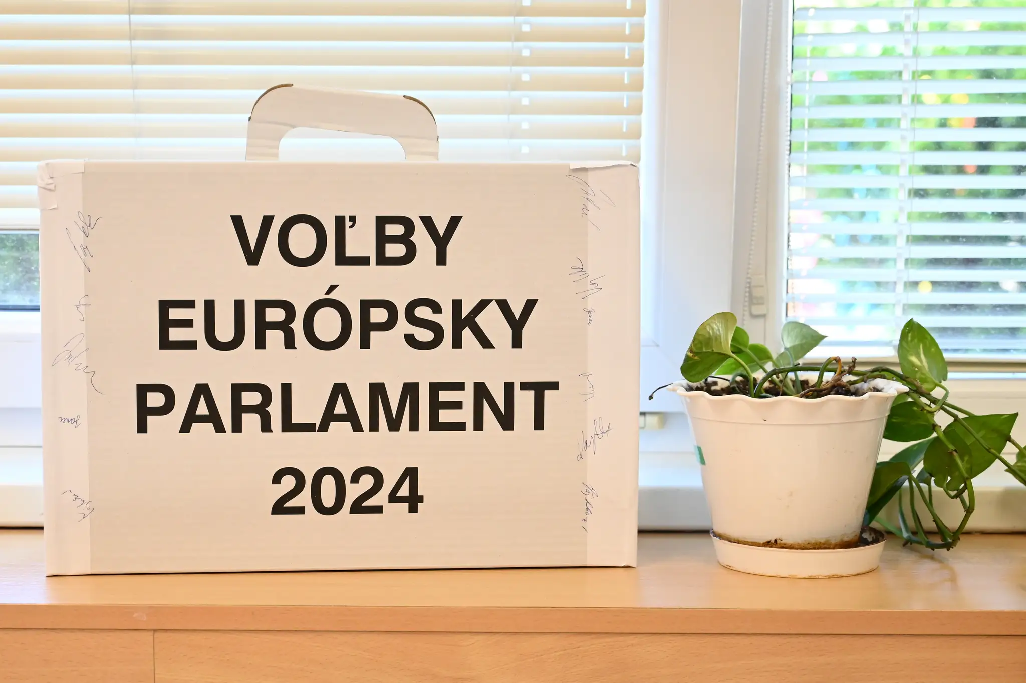 Voľby do EP 2024