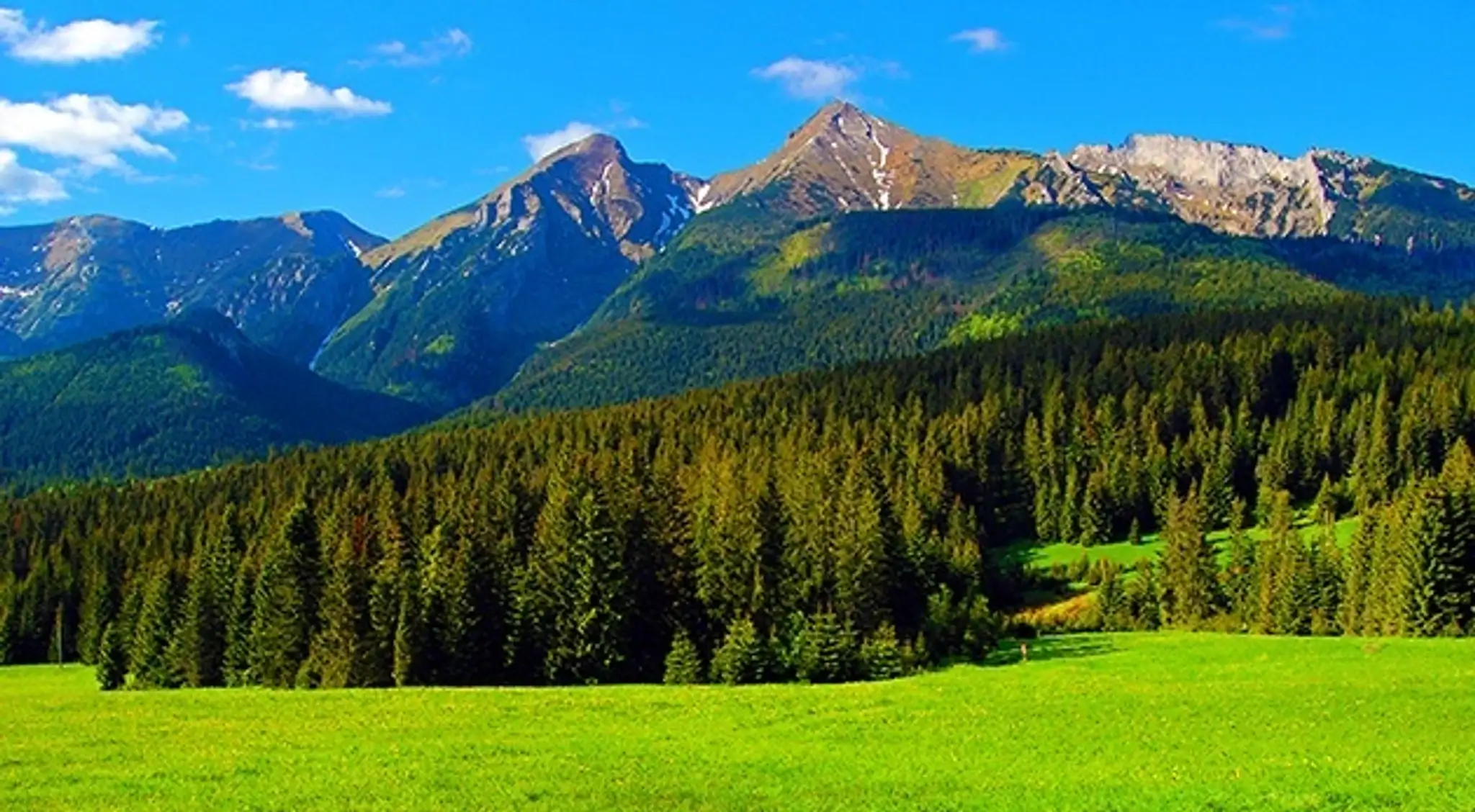 630_6579_gal4.jpg